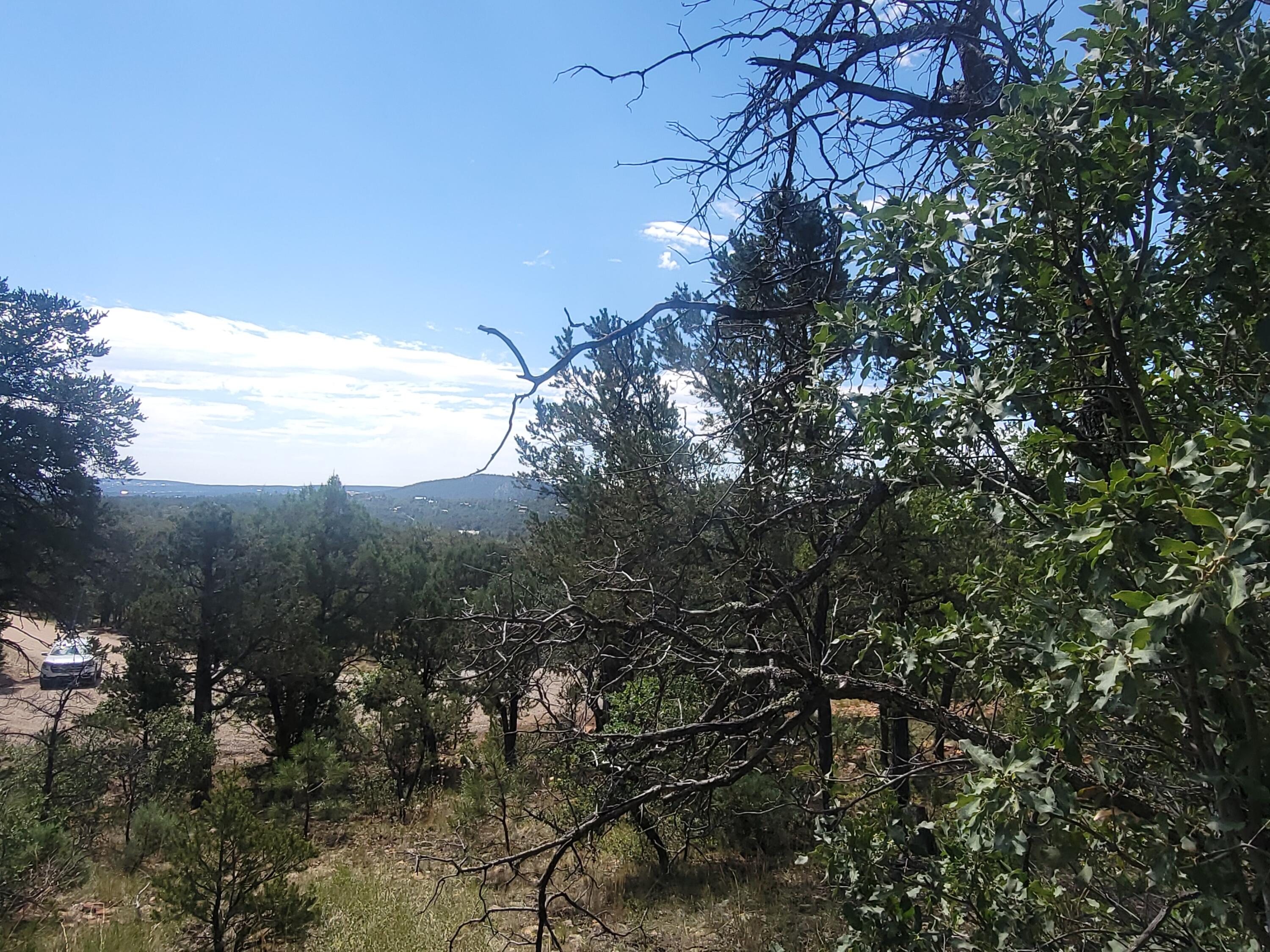 28 Pinon Drive