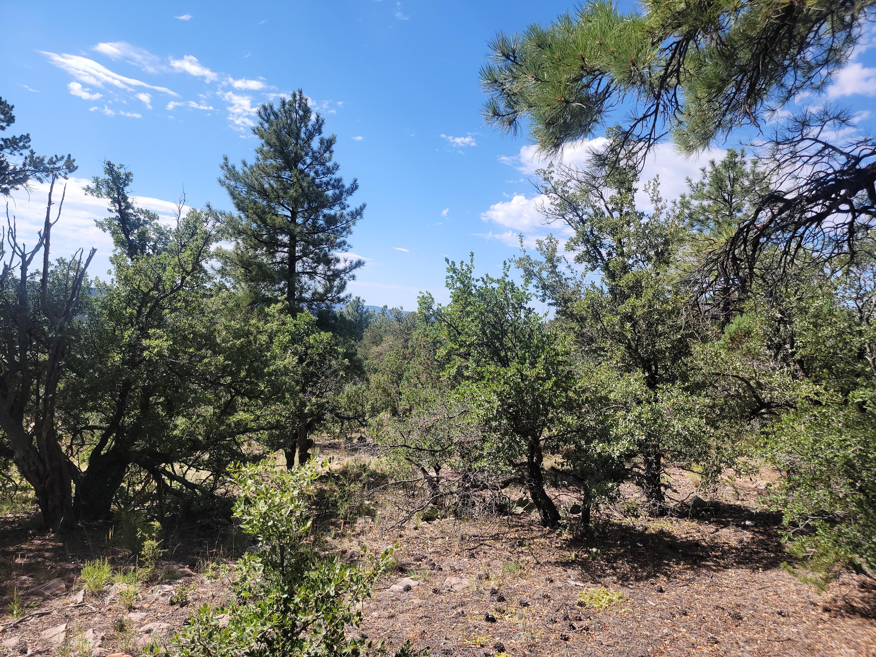 28 Pinon Drive