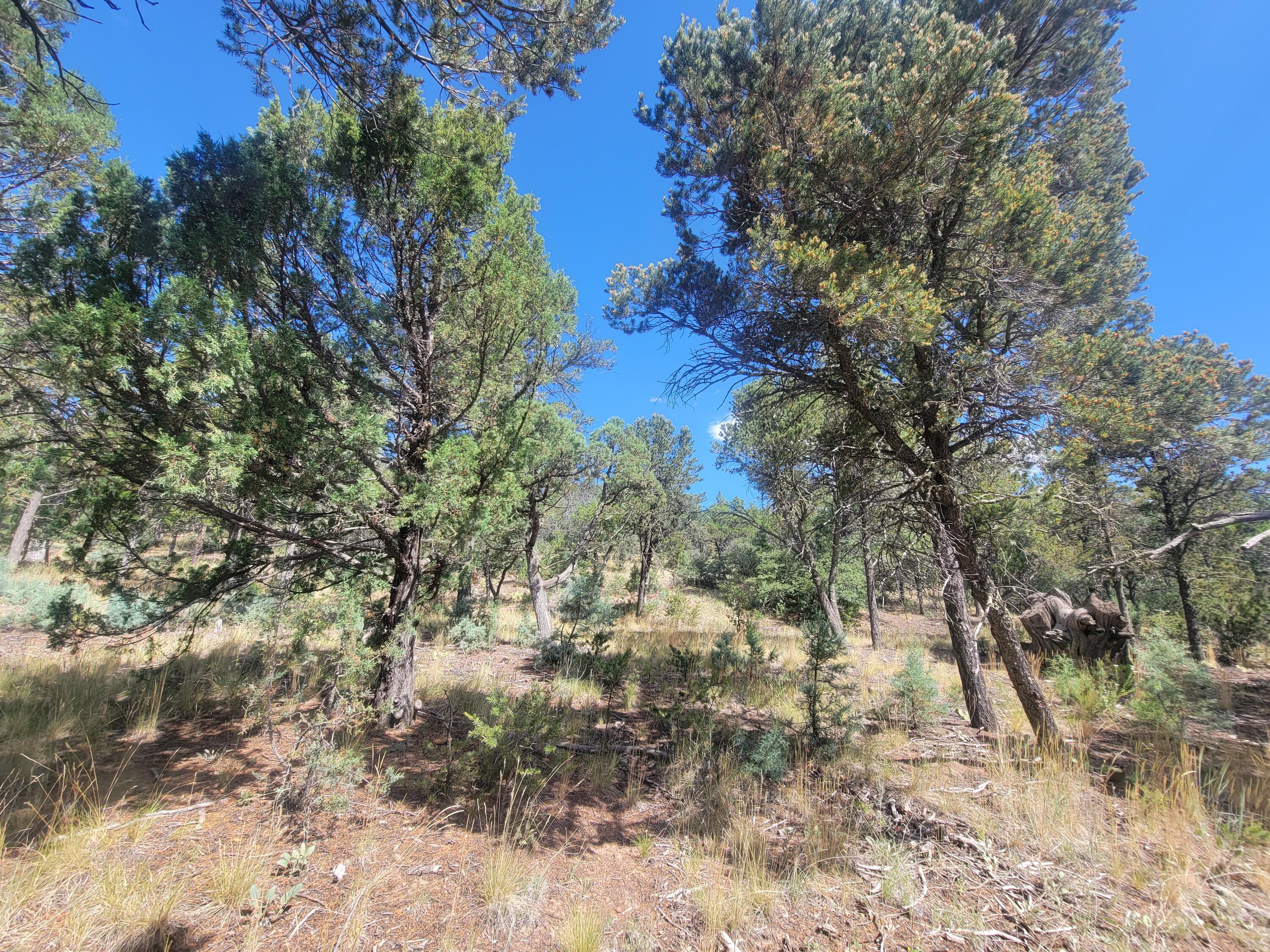 28 Pinon Drive