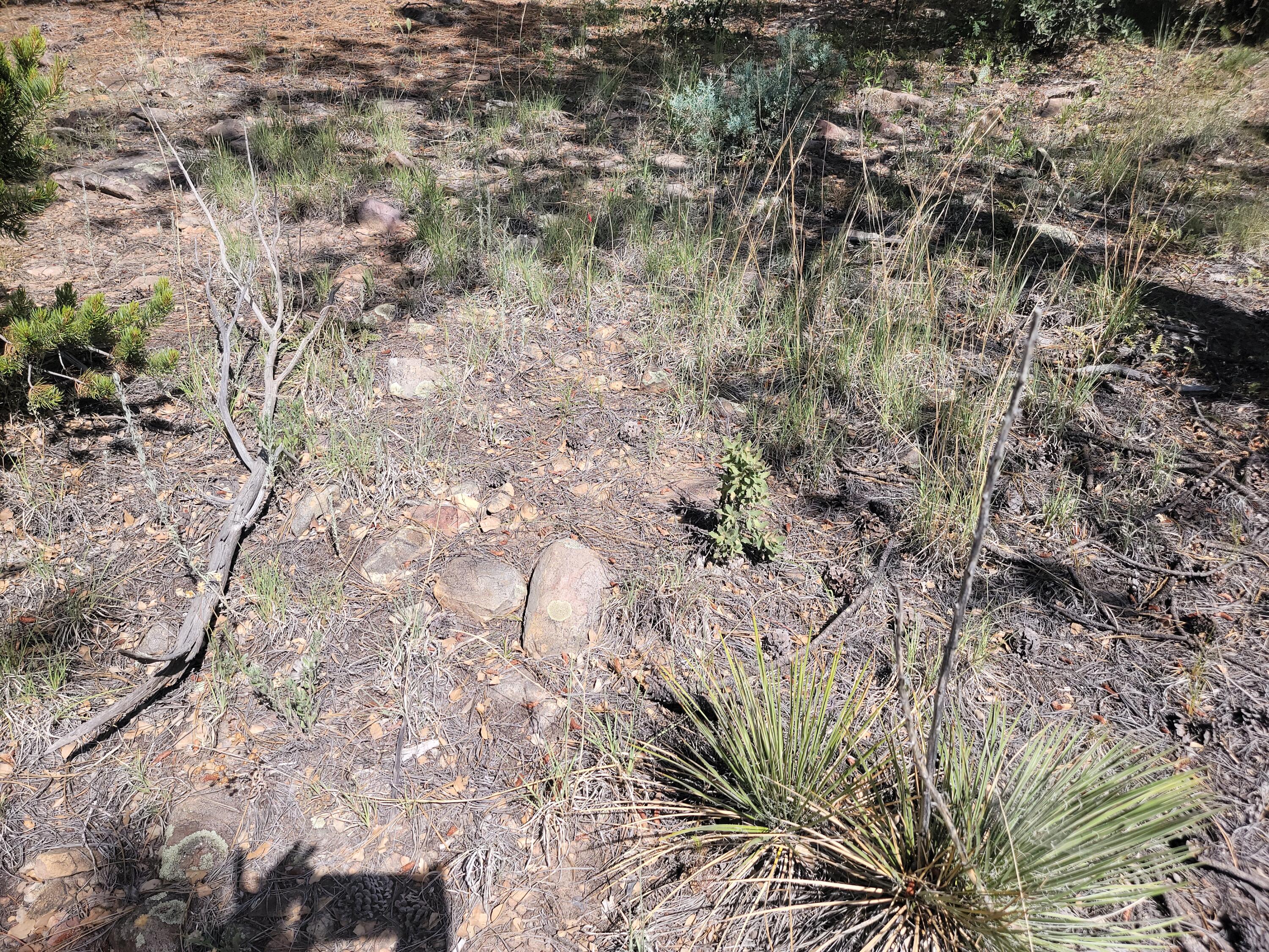 28 Pinon Drive