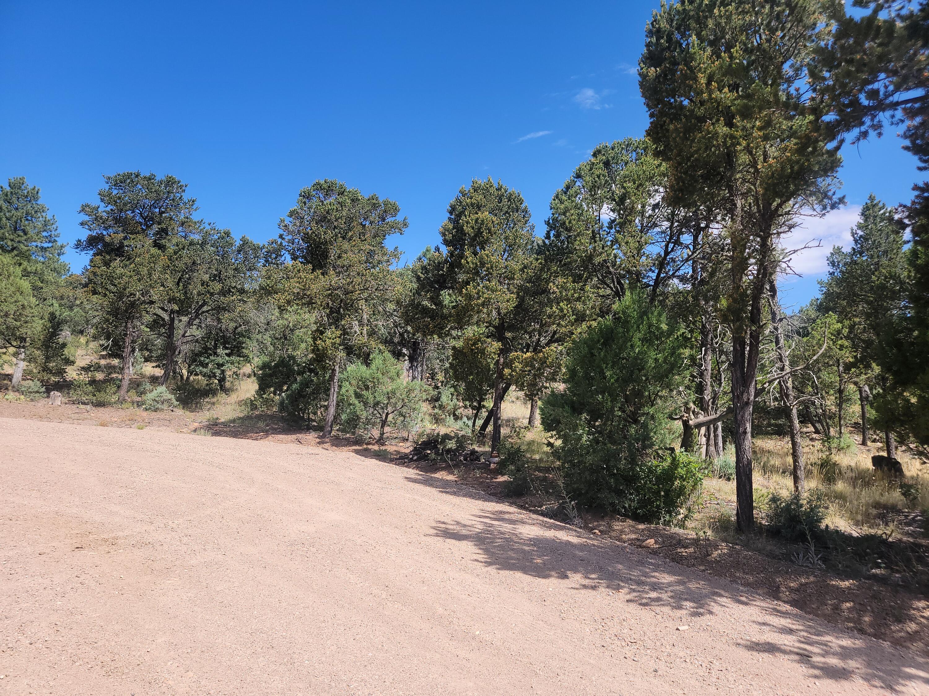 28 Pinon Drive