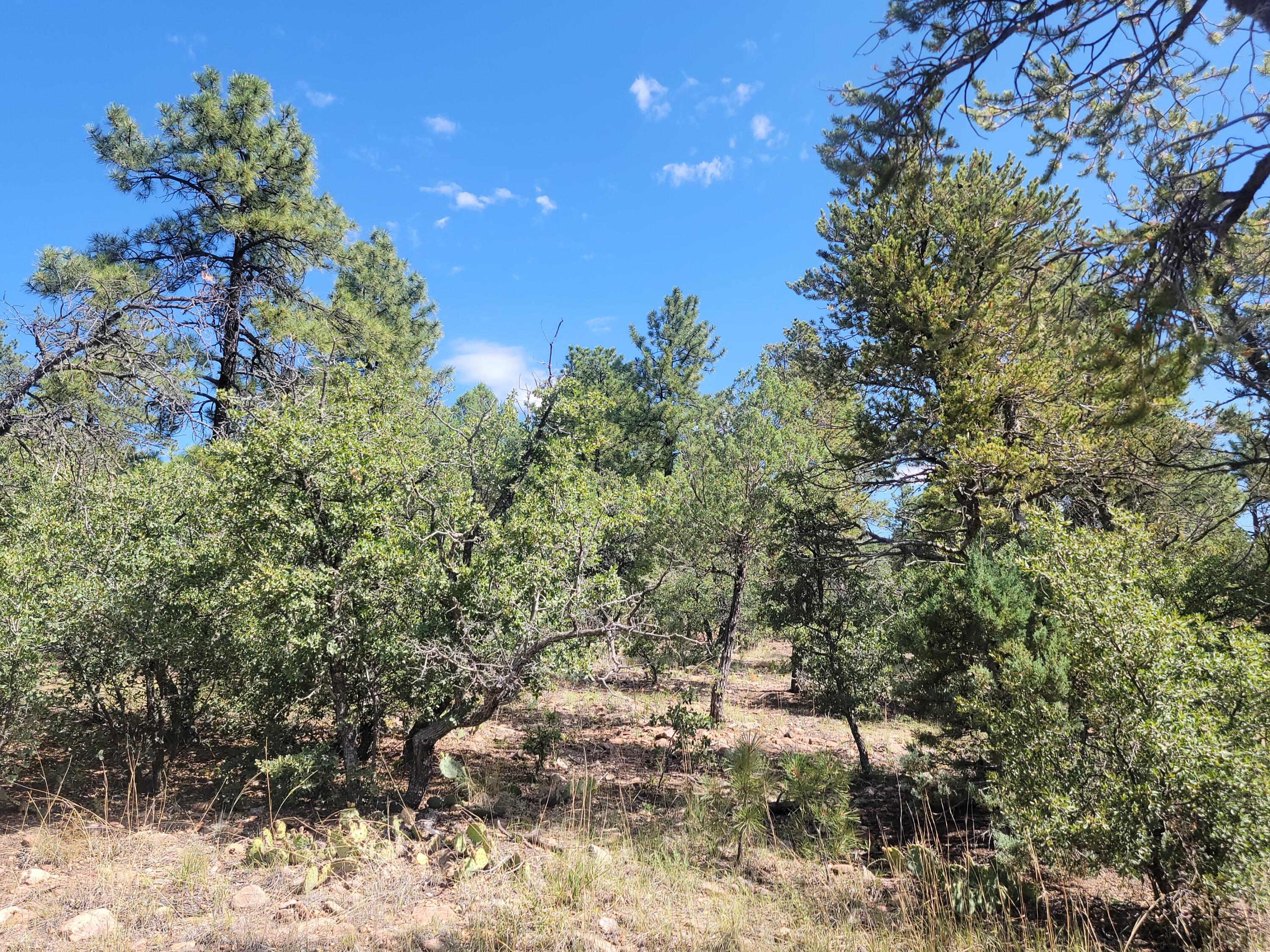 28 Pinon Drive