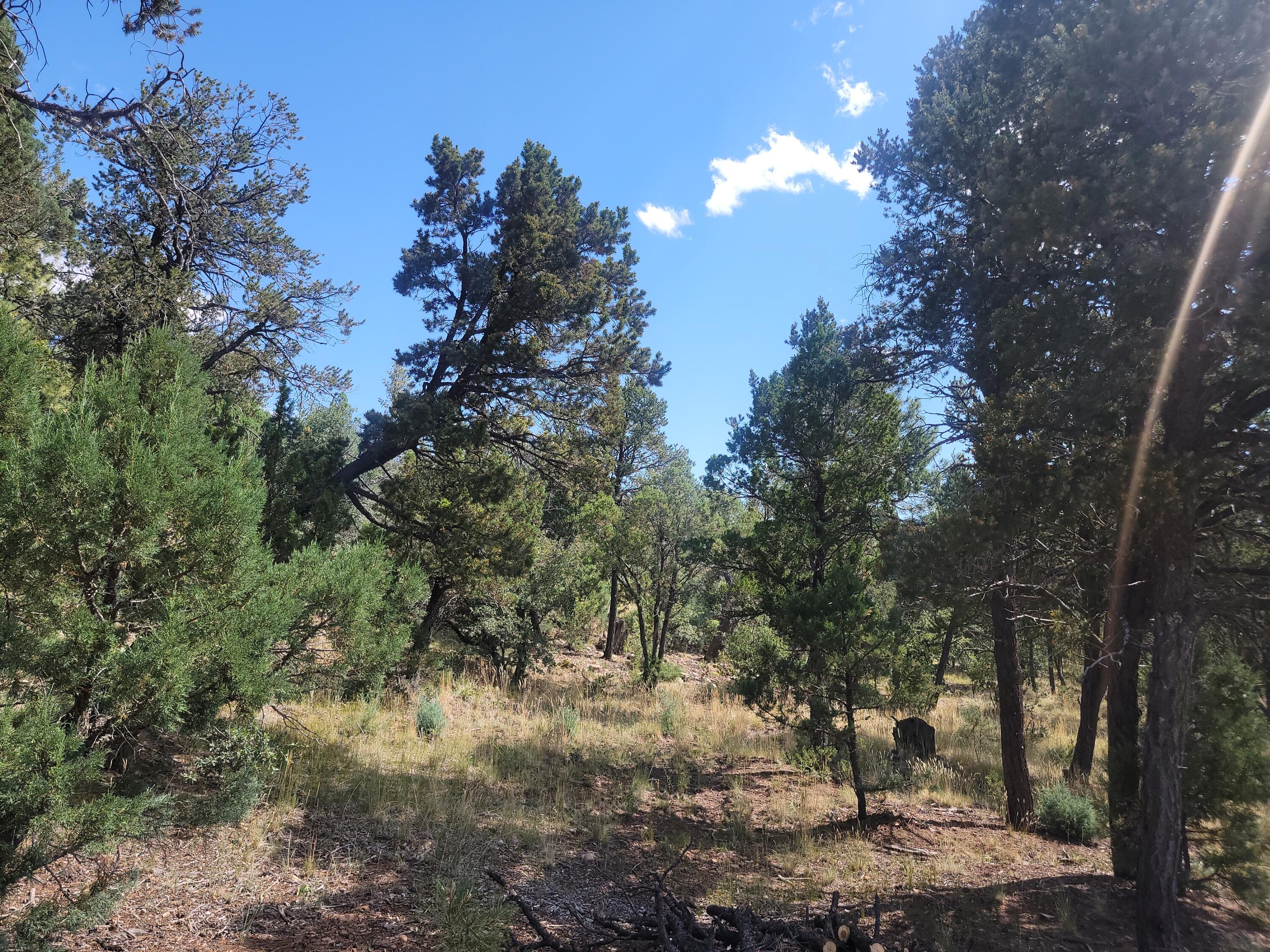 28 Pinon Drive