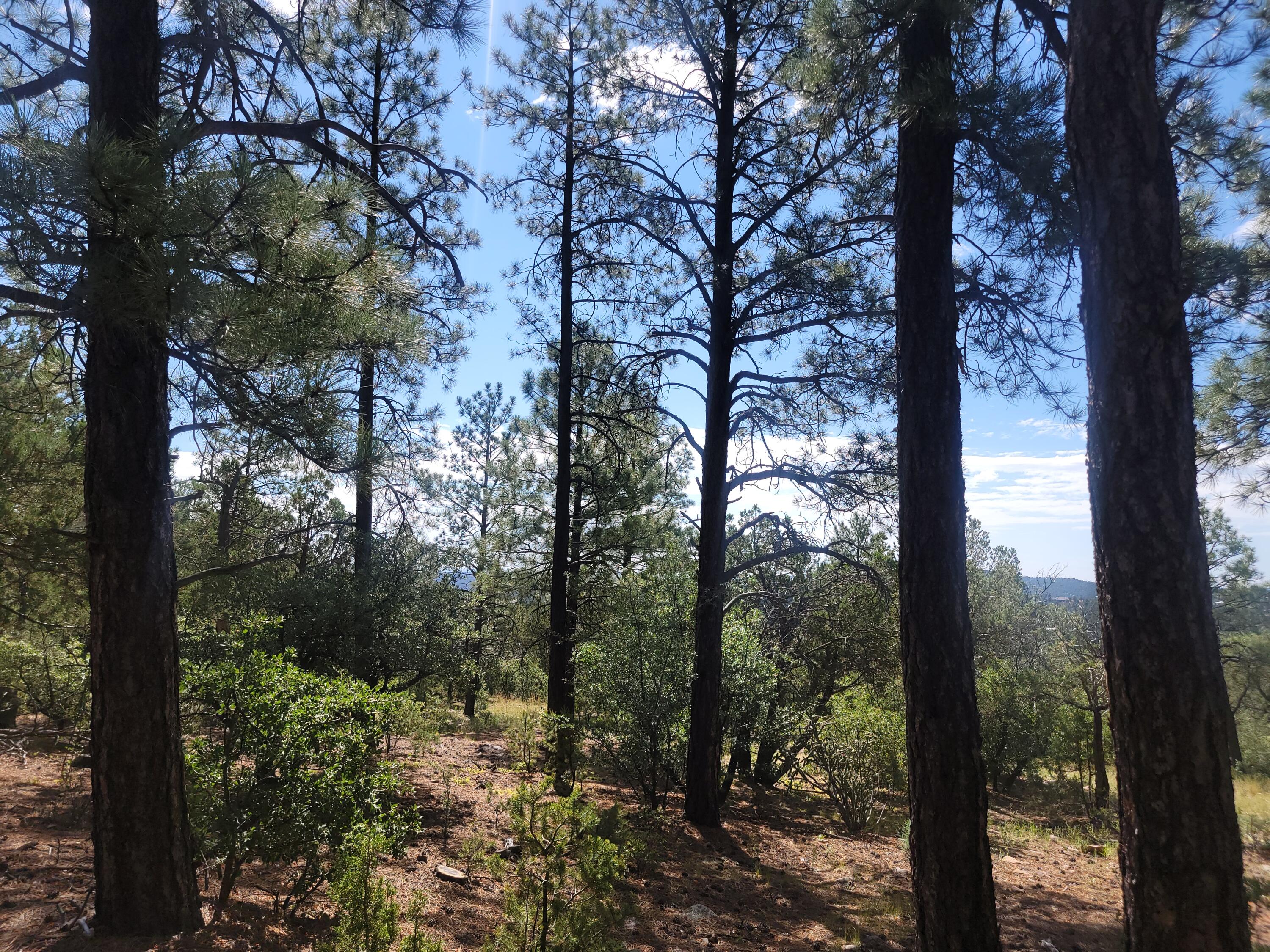 28 Pinon Drive