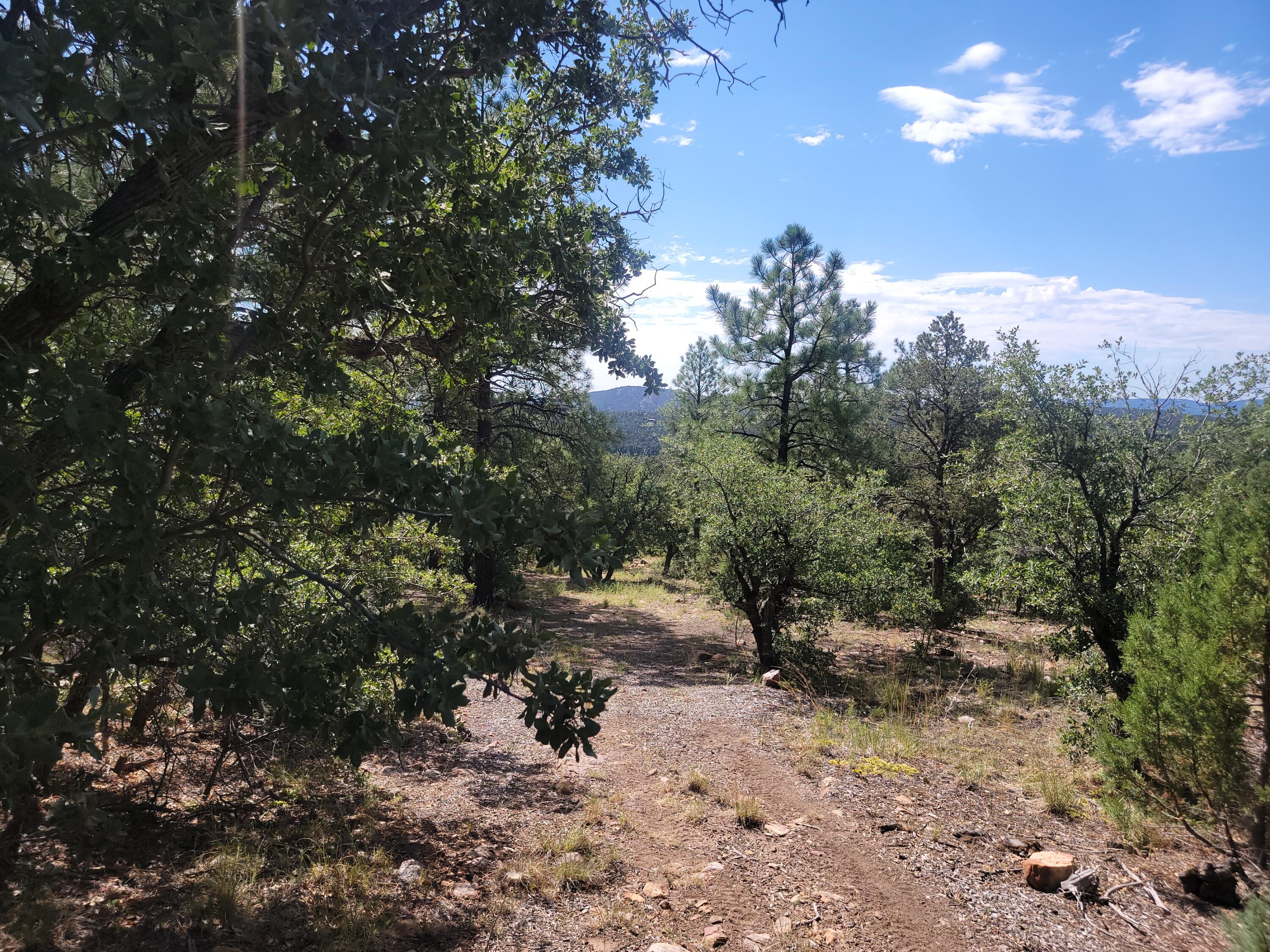 28 Pinon Drive
