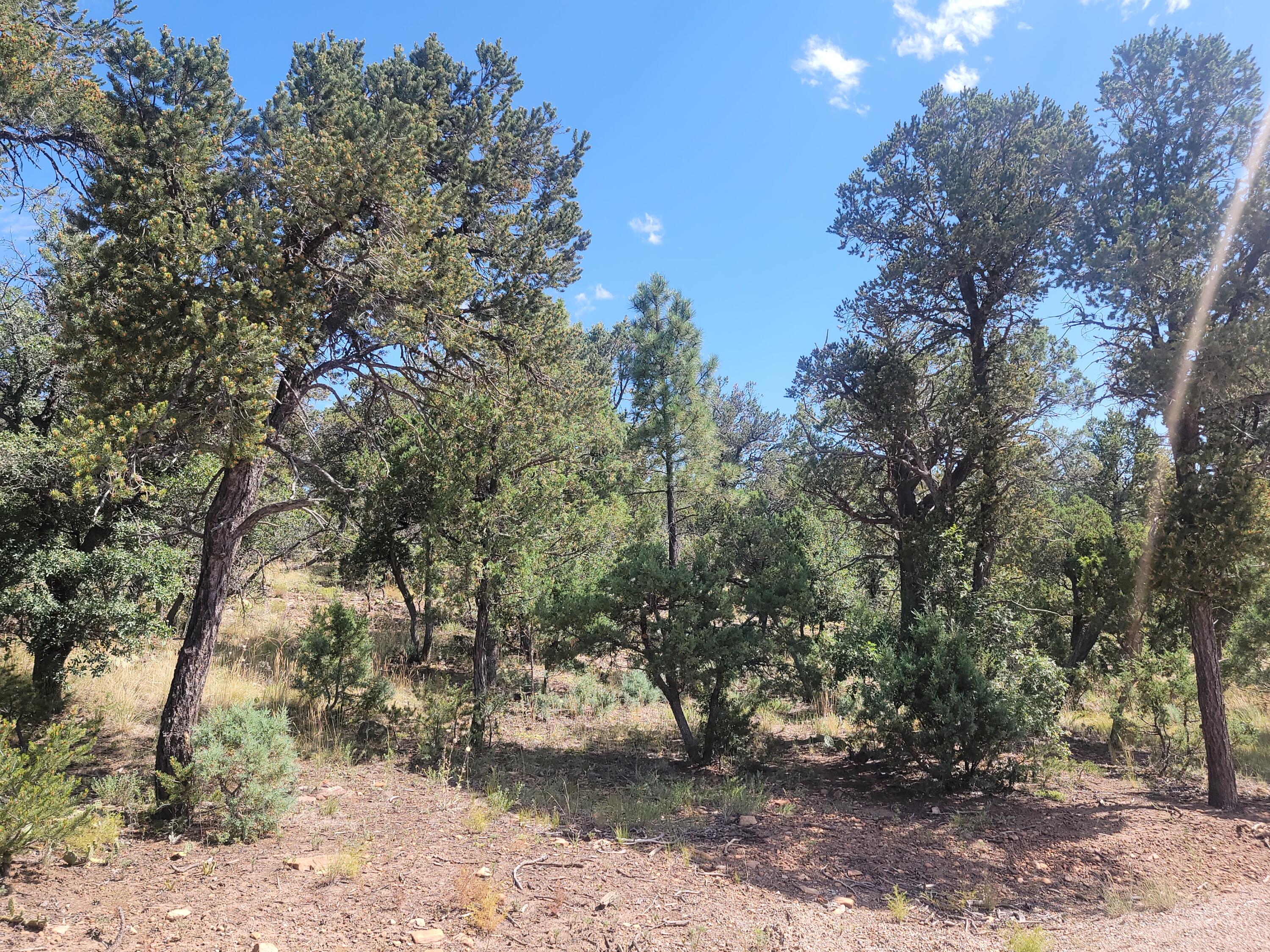 28 Pinon Drive