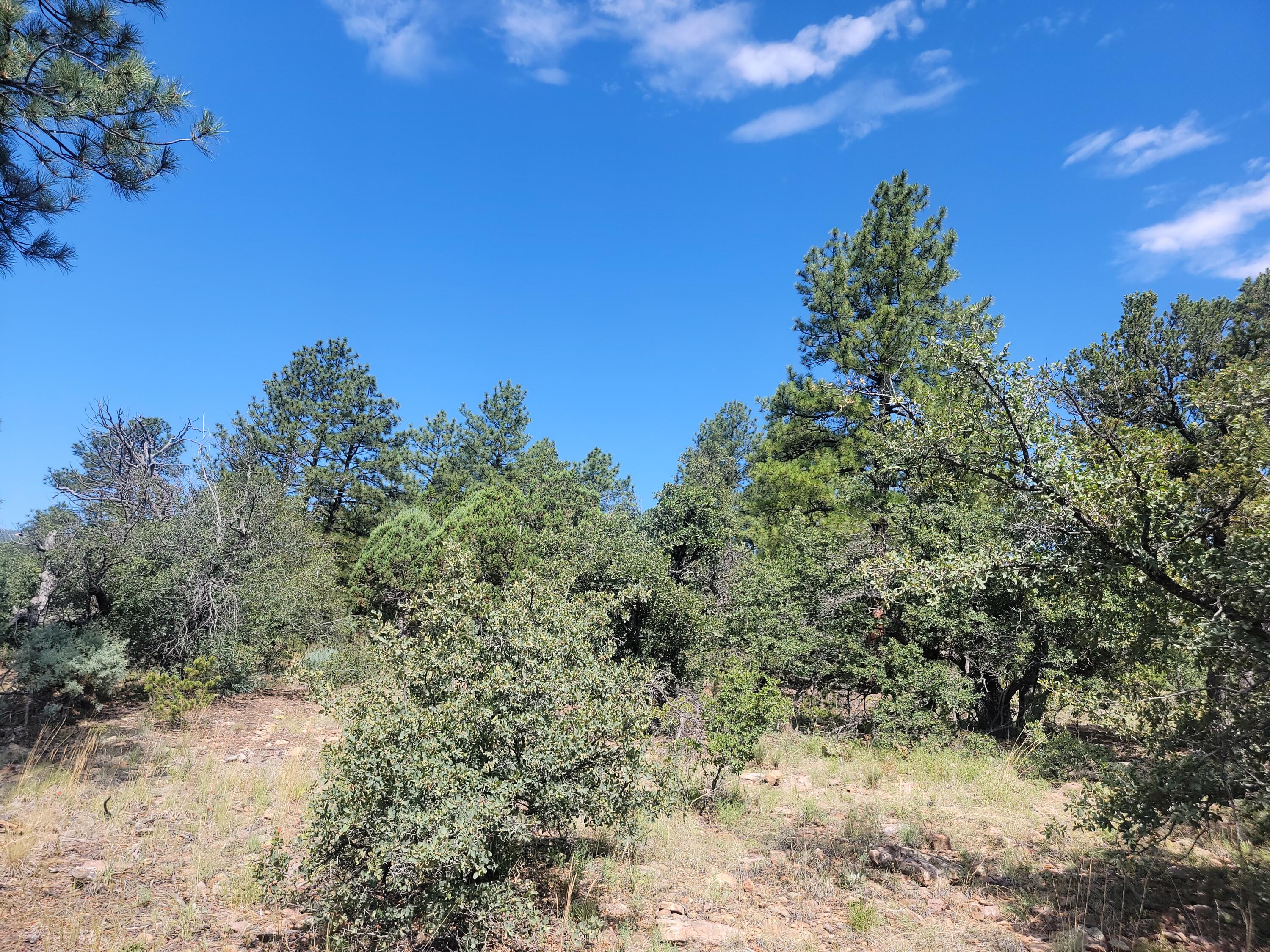 28 Pinon Drive