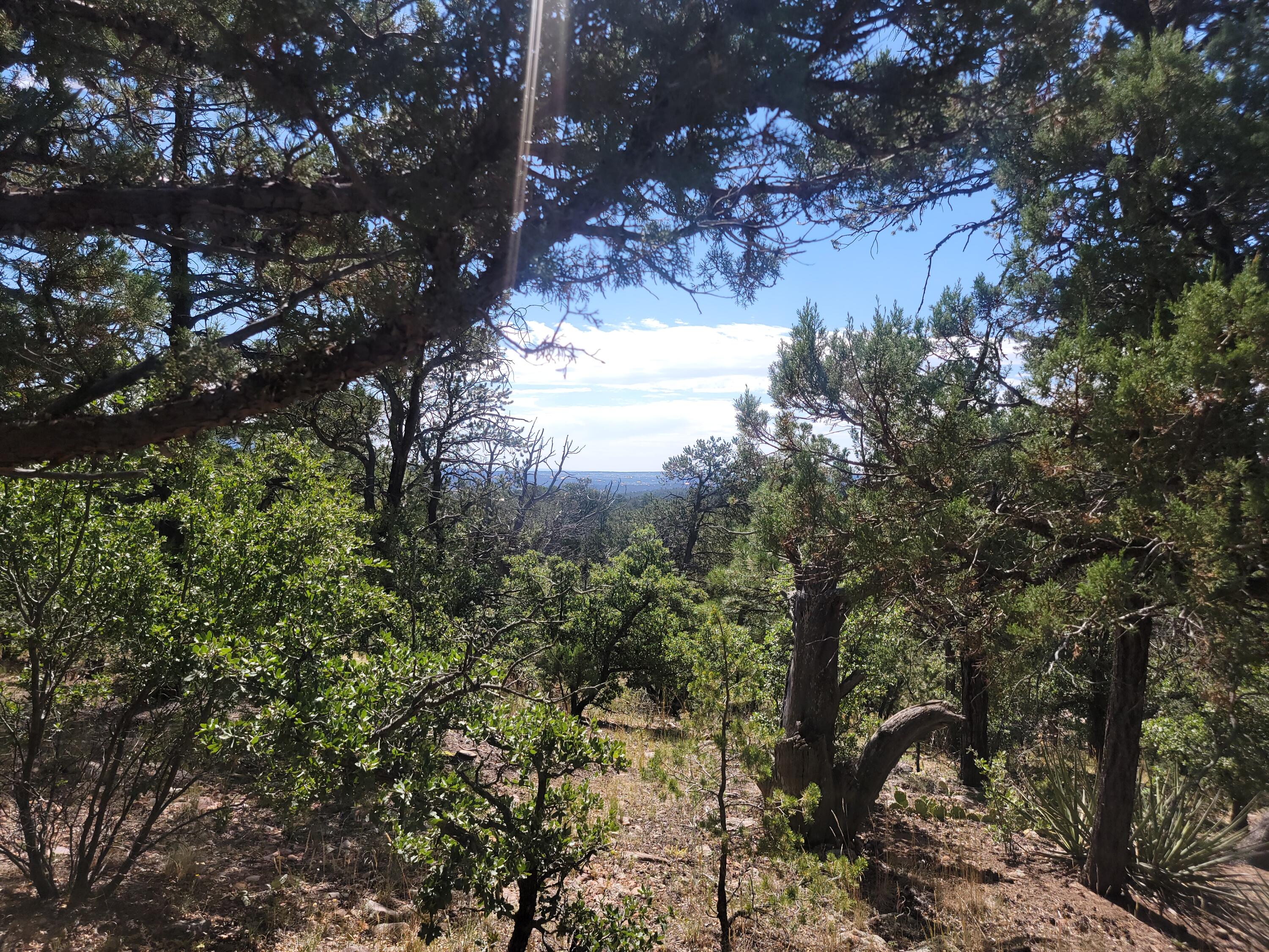 28 Pinon Drive