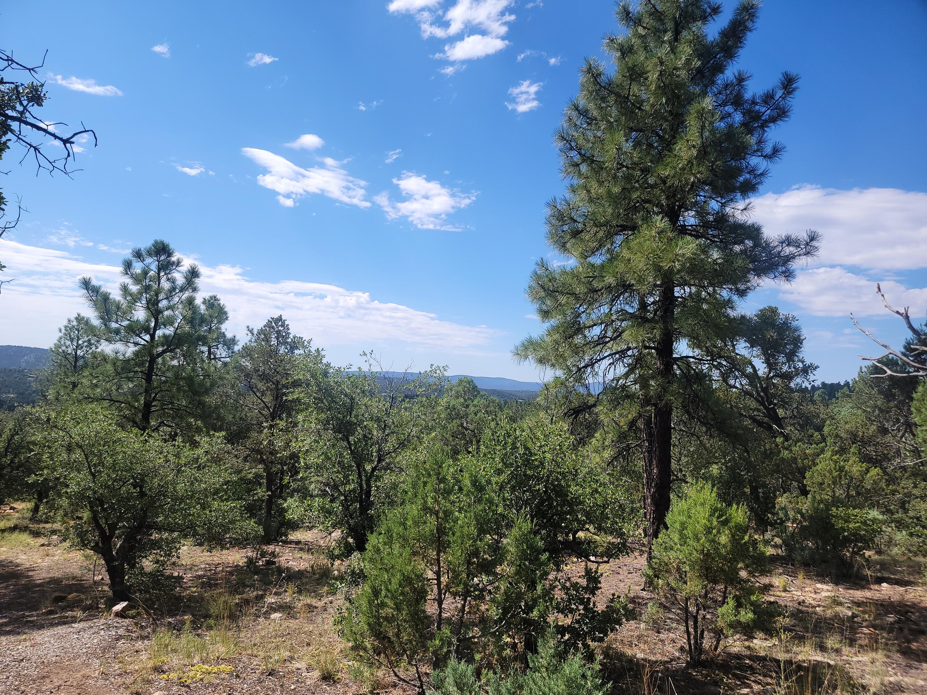 28 Pinon Drive
