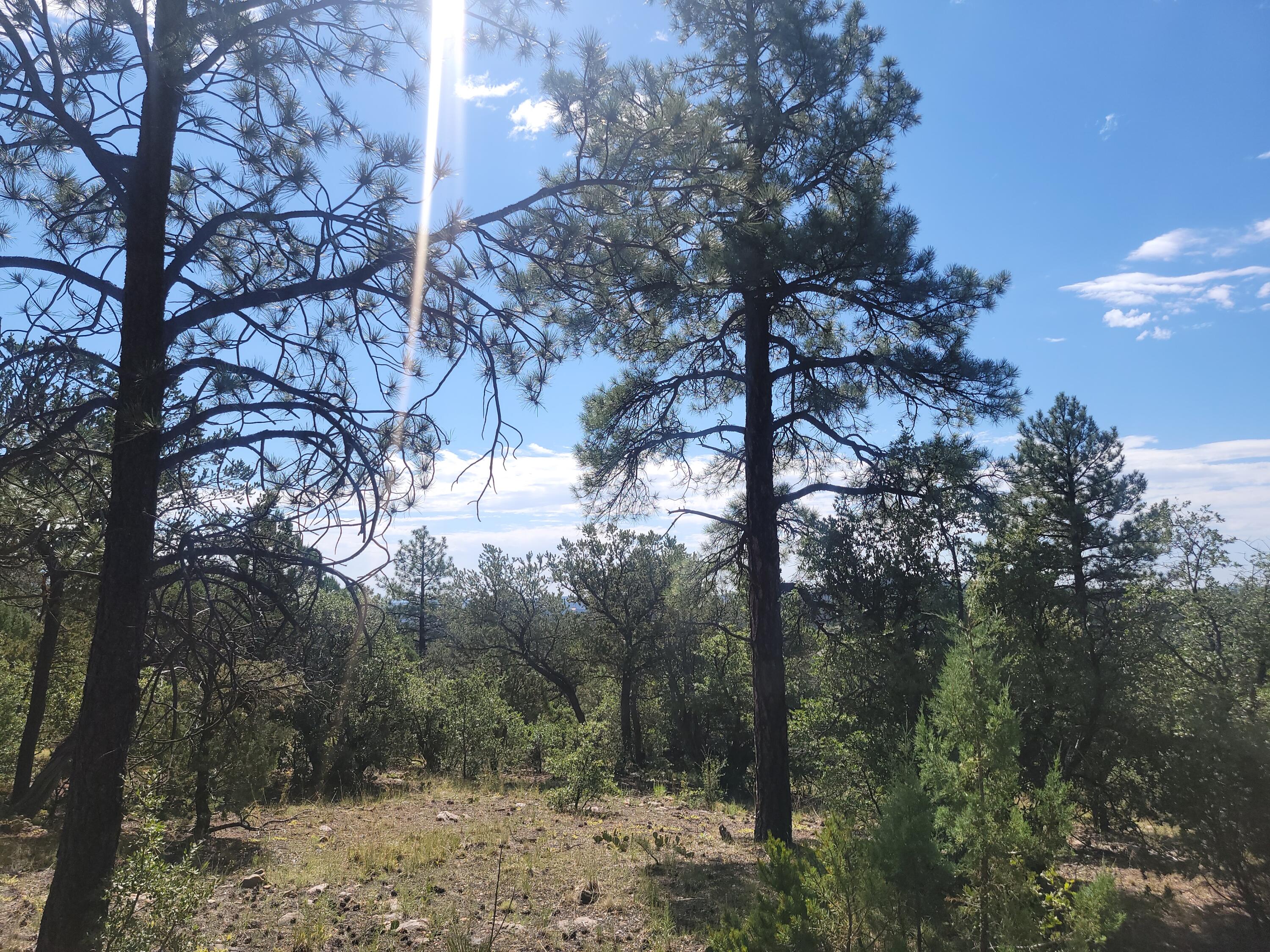 28 Pinon Drive