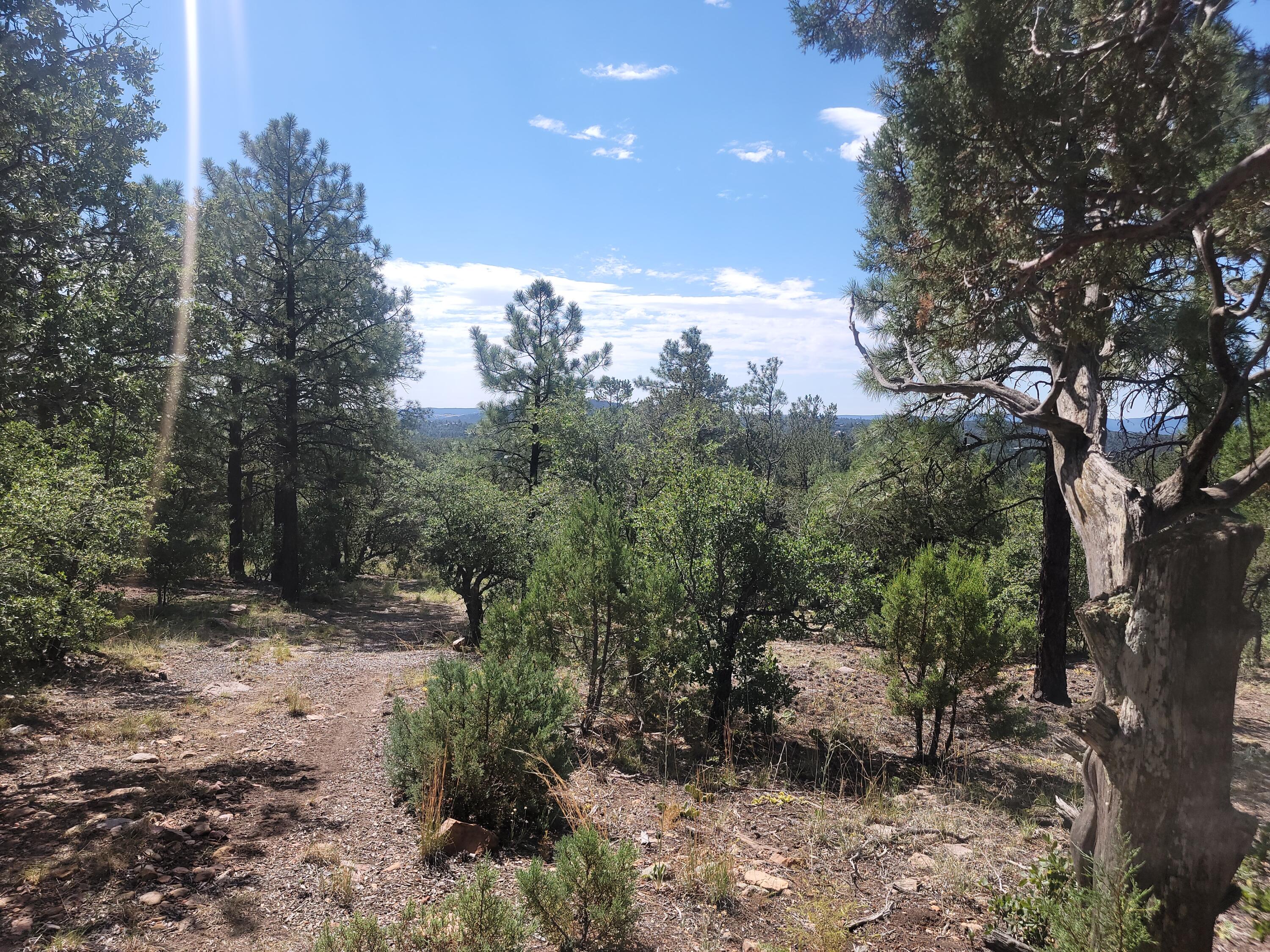 28 Pinon Drive