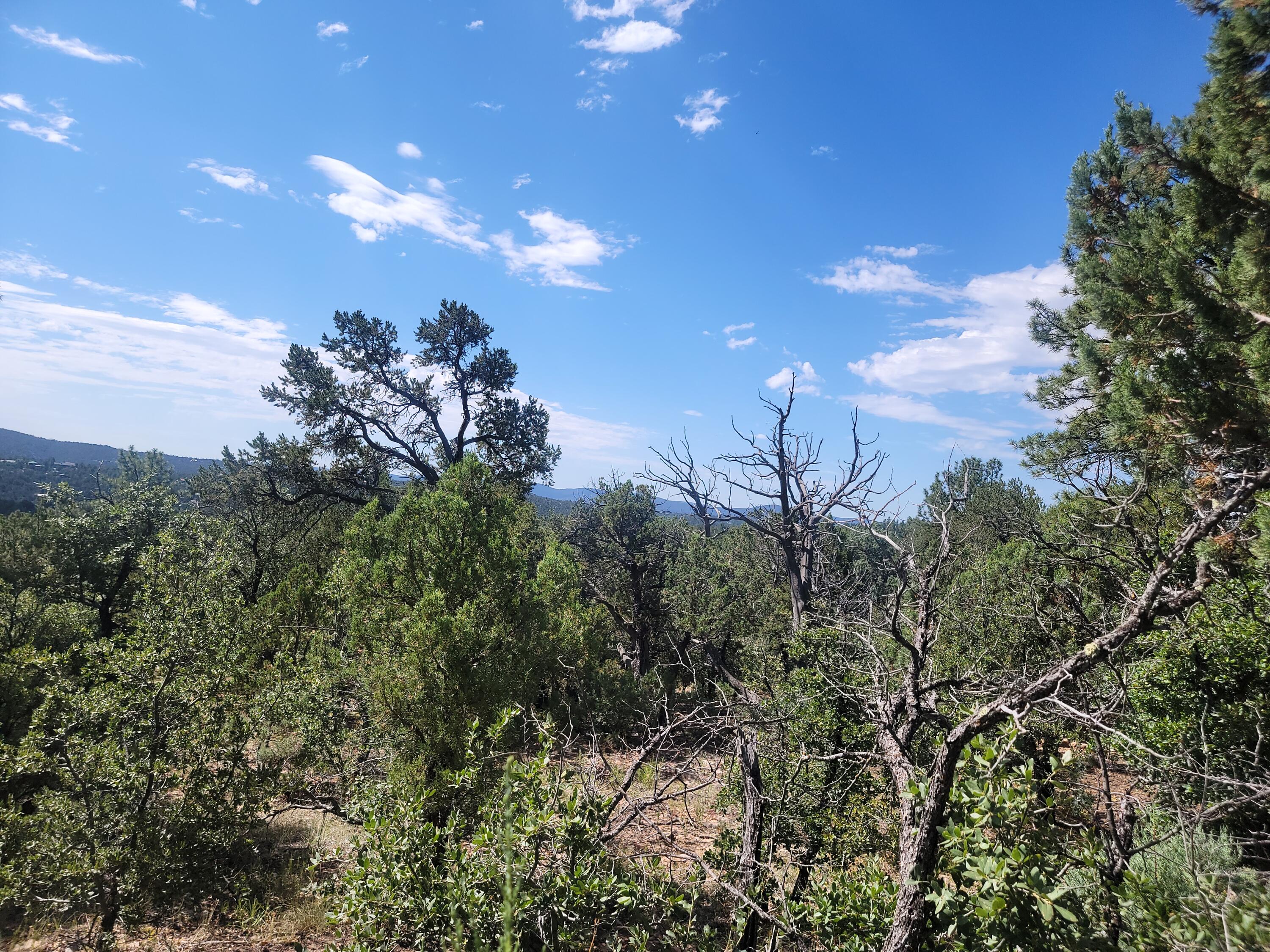 28 Pinon Drive