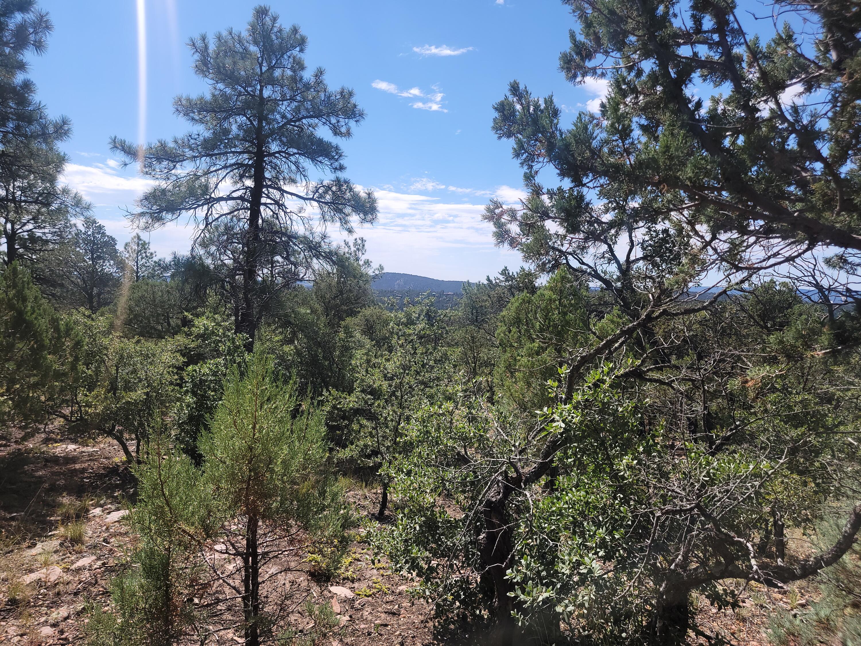 28 Pinon Drive