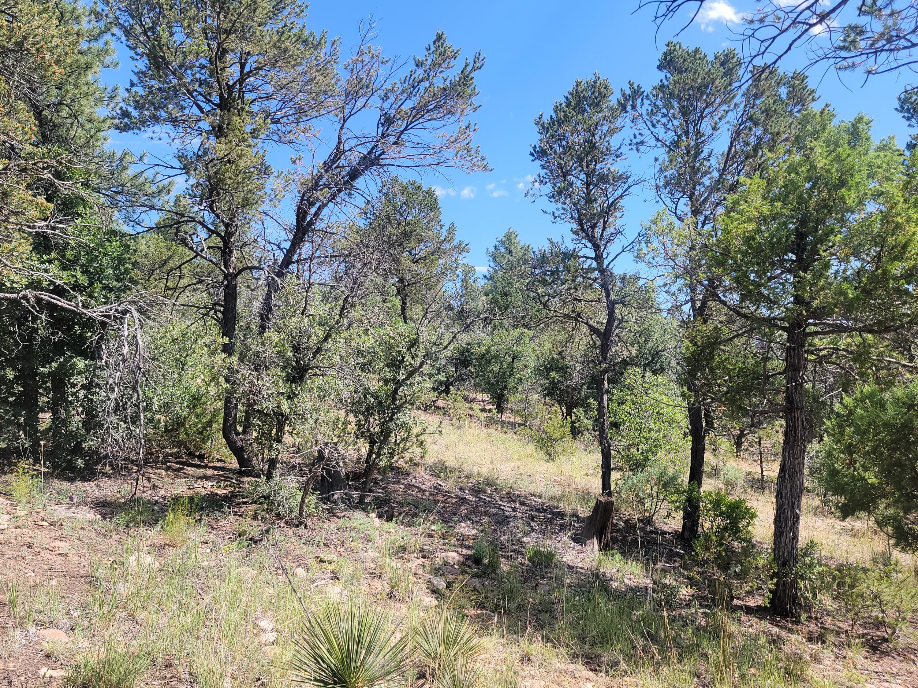 28 Pinon Drive