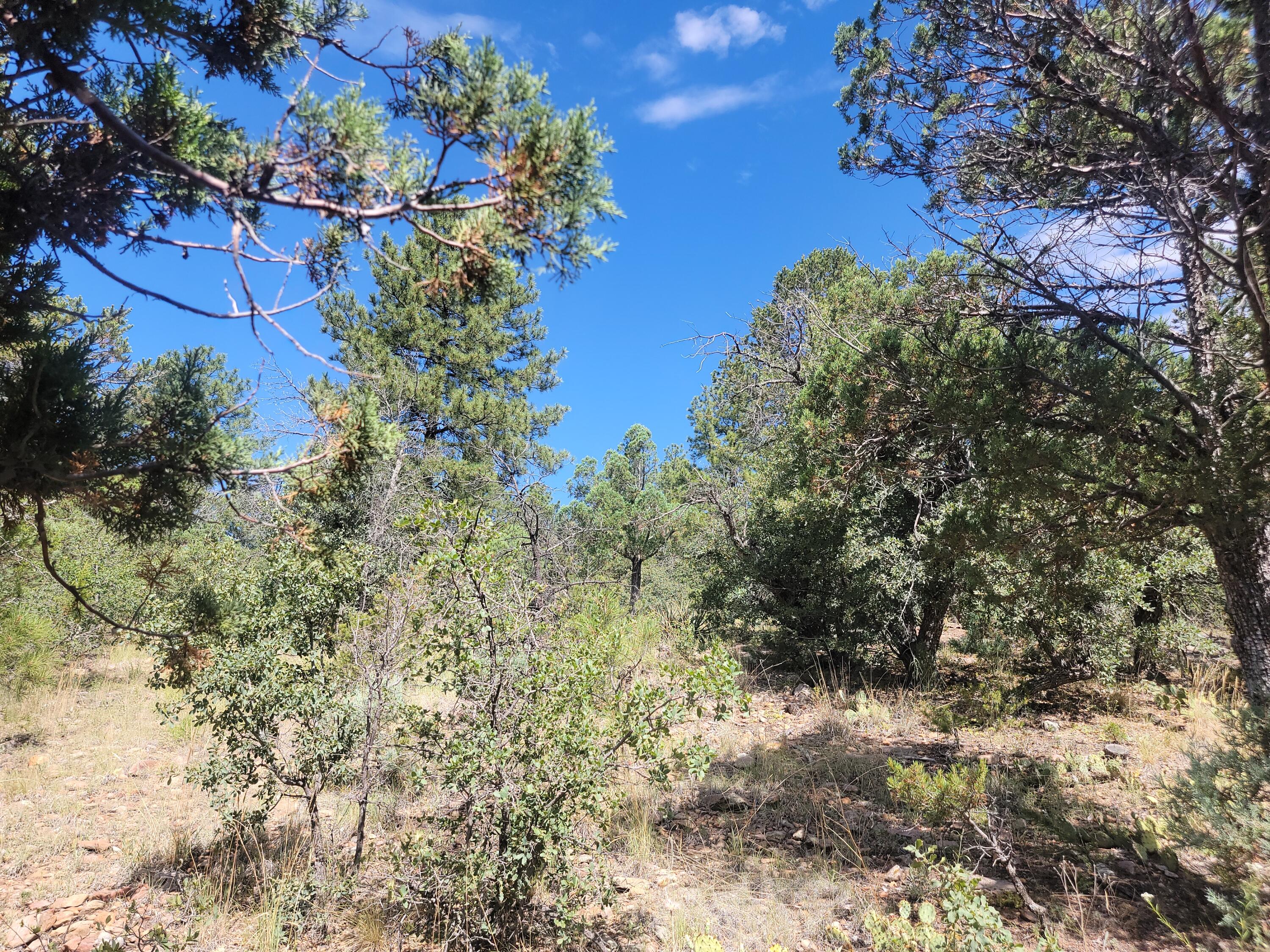 28 Pinon Drive