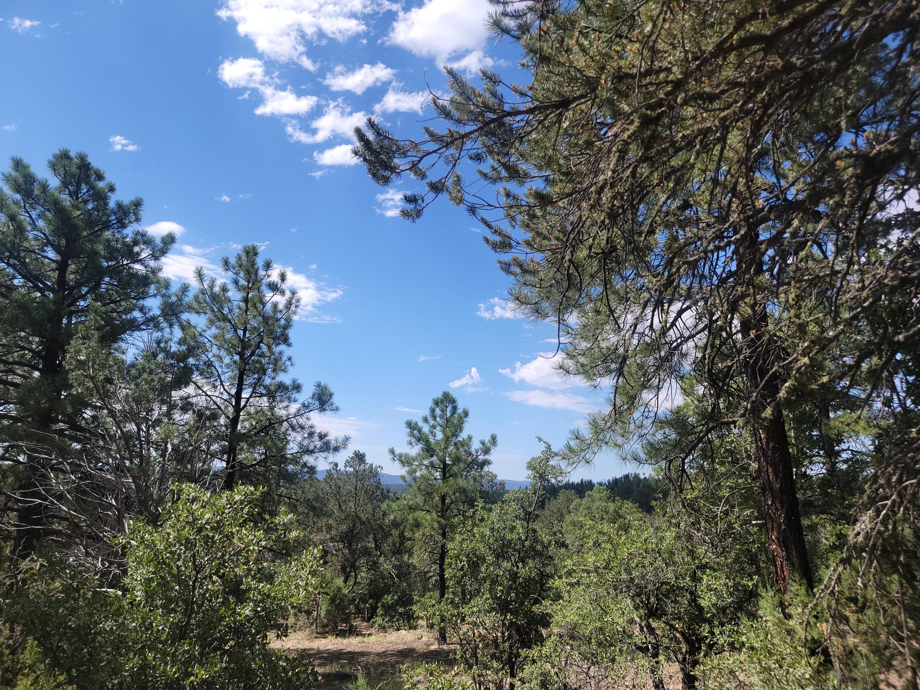 28 Pinon Drive