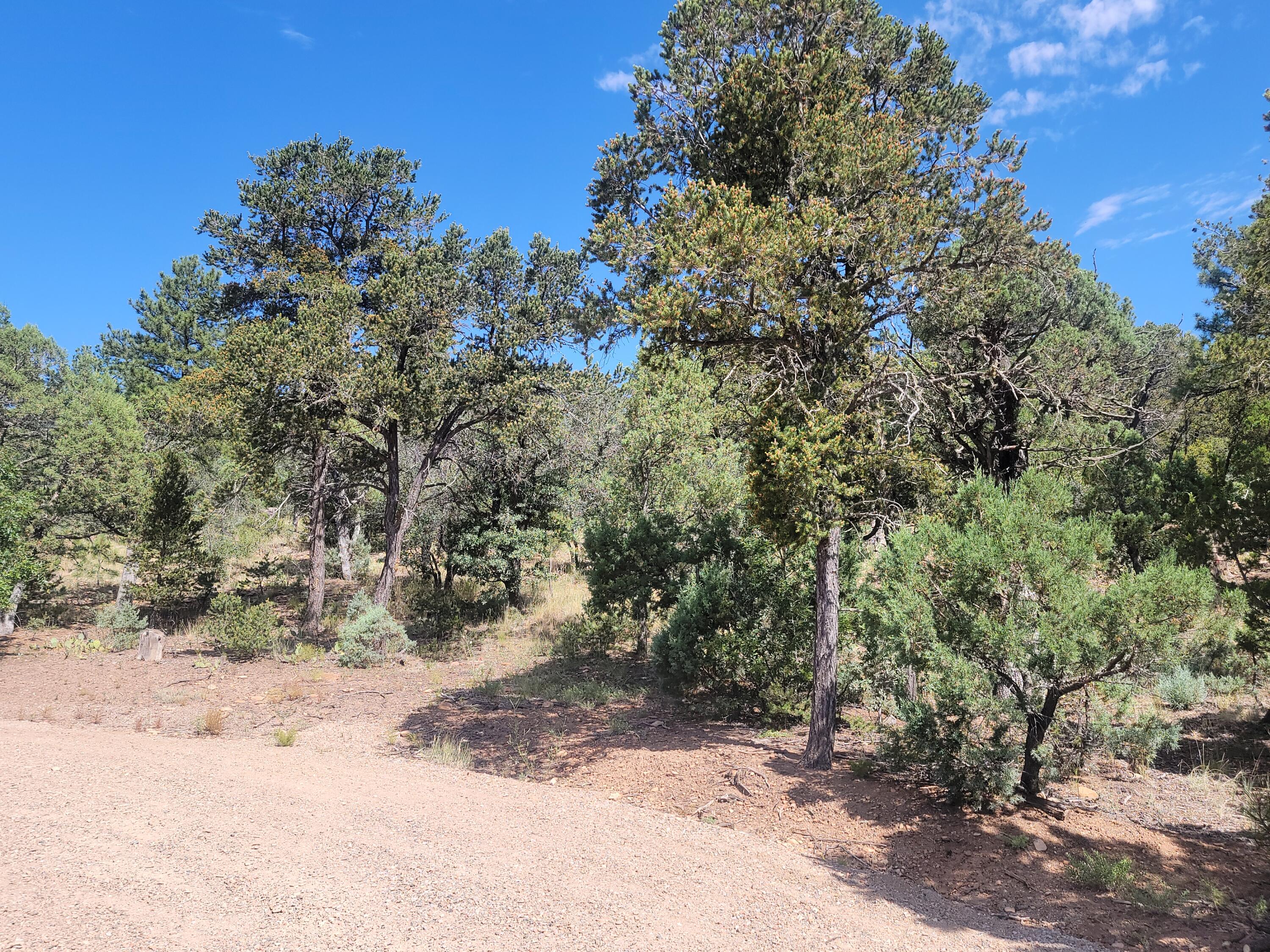 28 Pinon Drive