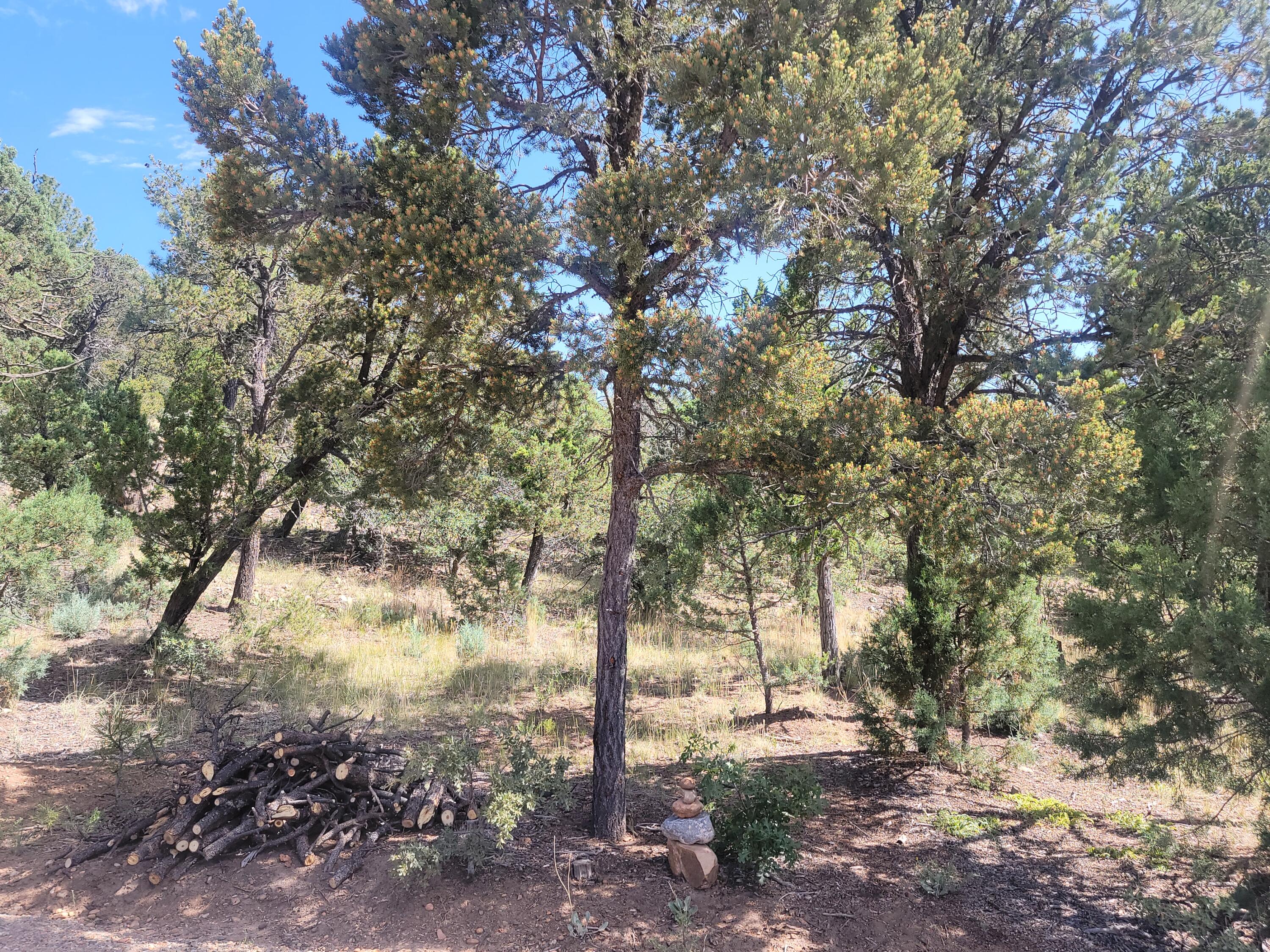 28 Pinon Drive