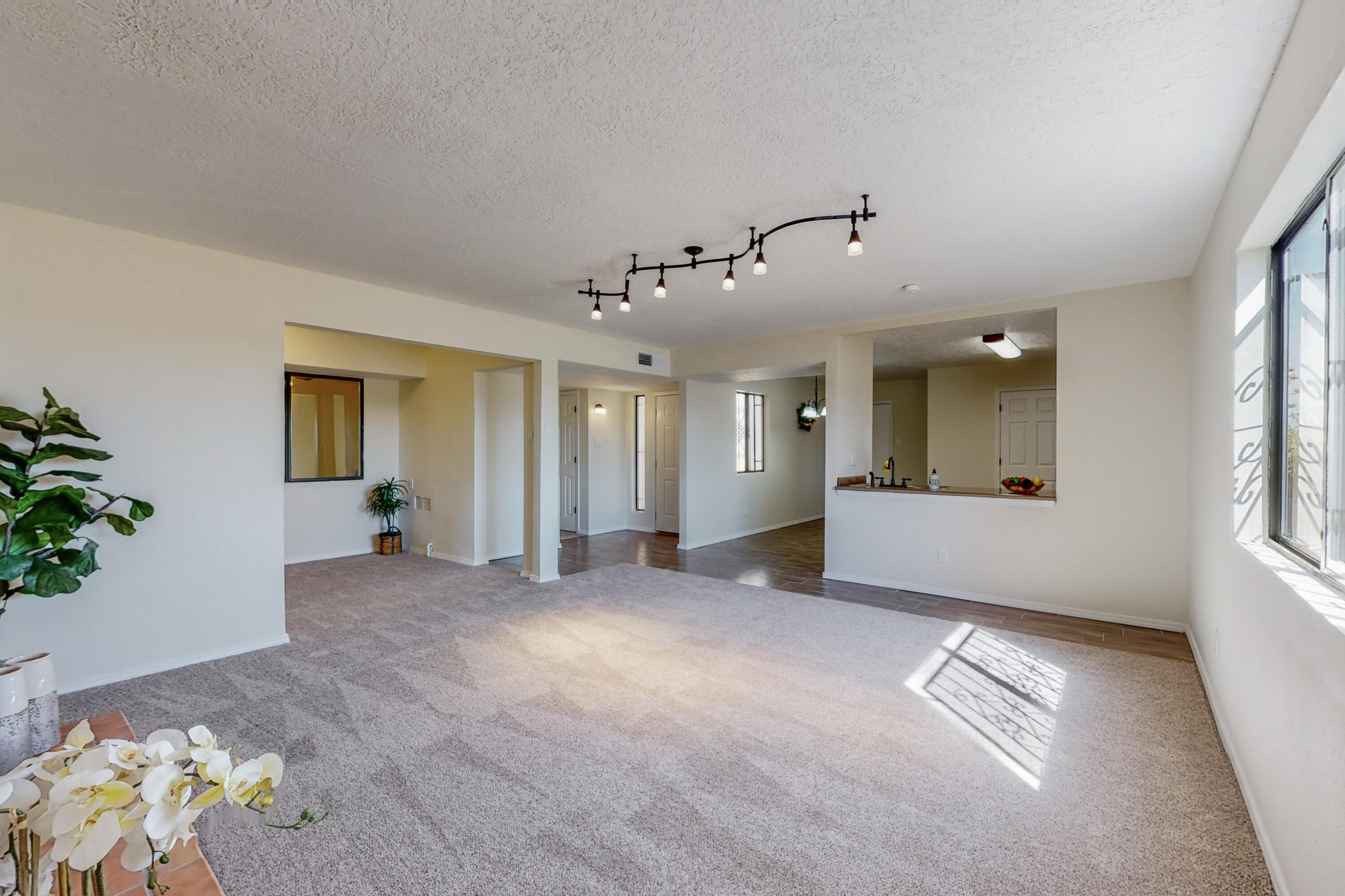 1709 Toluca Court