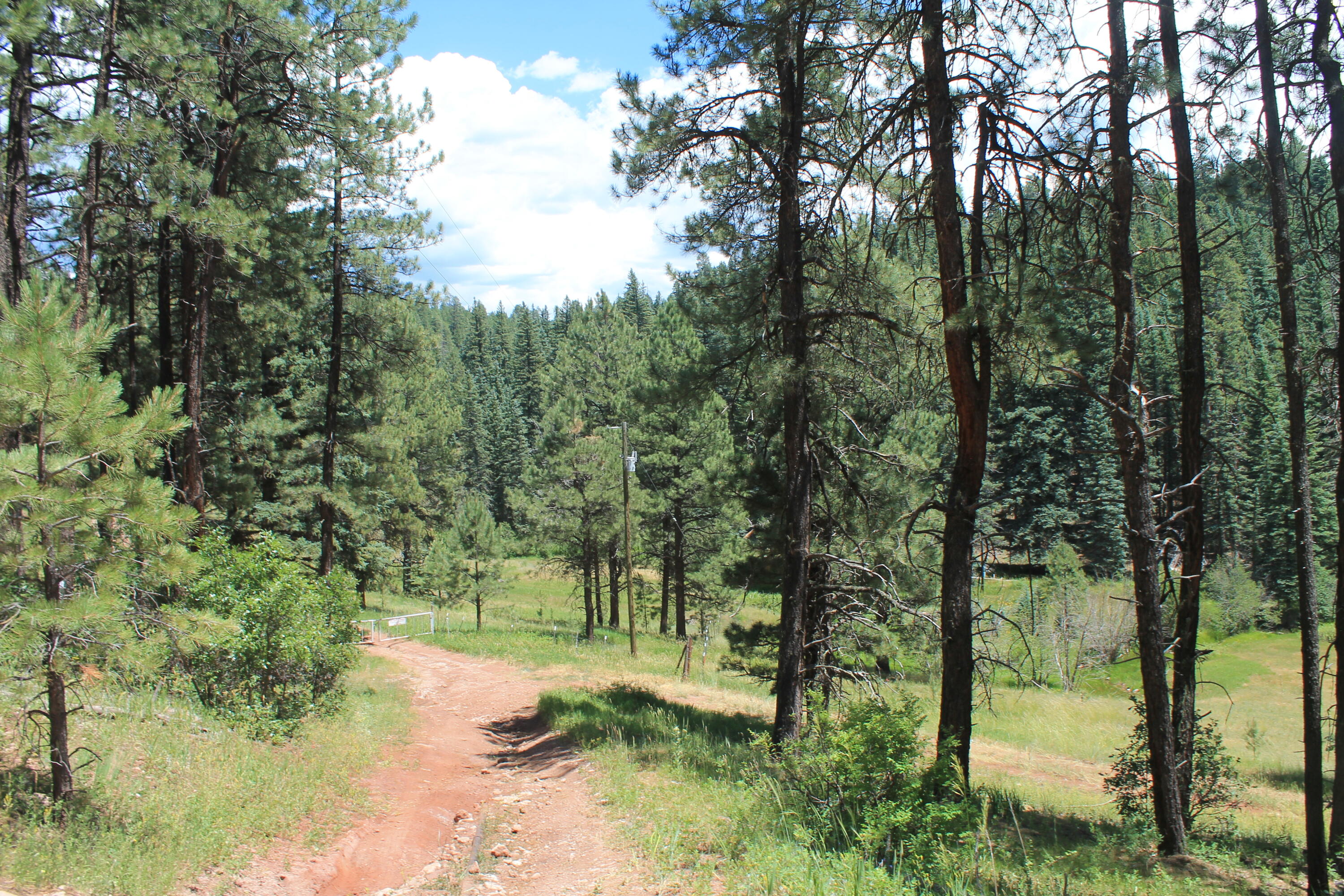 Las Palomas Road