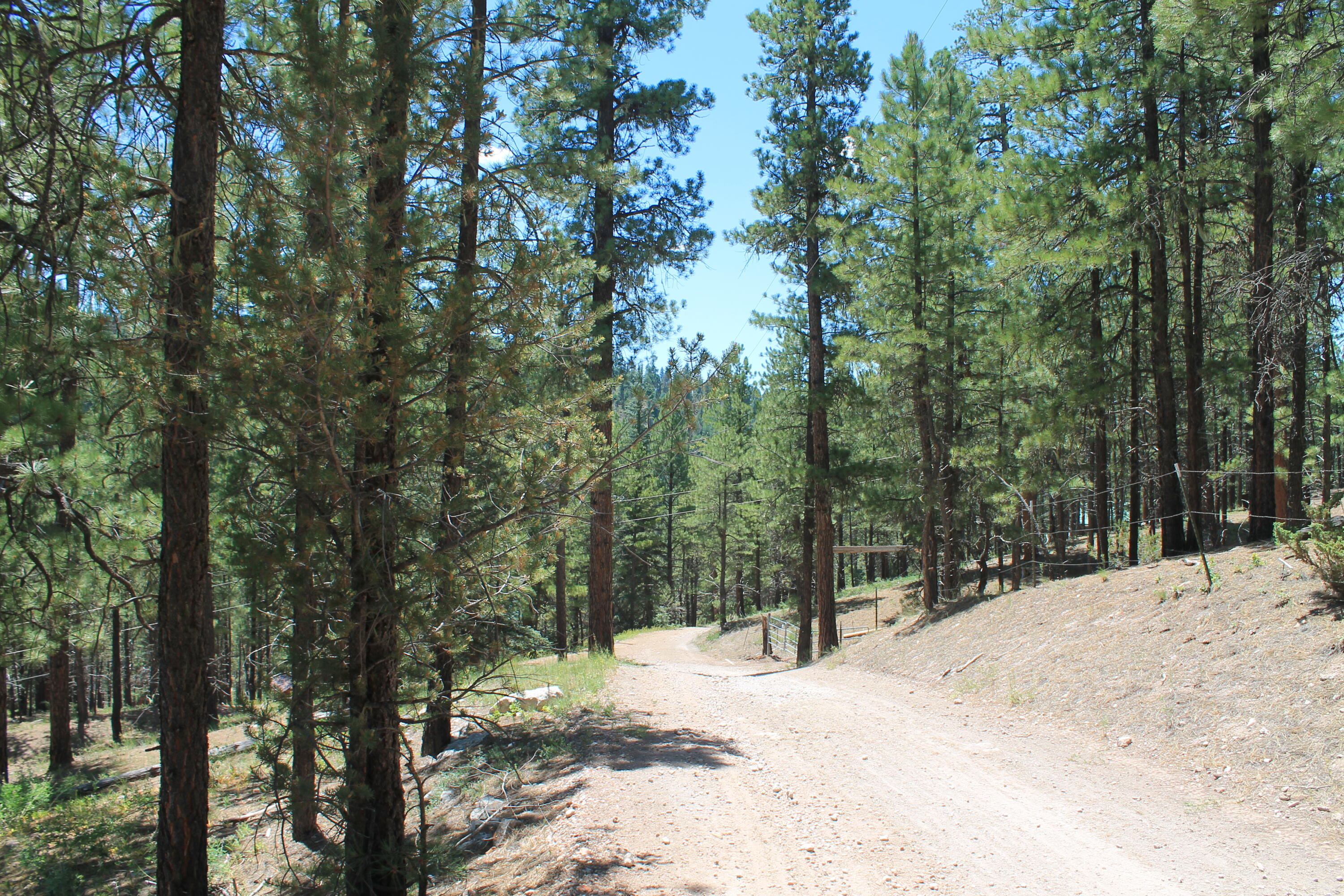 Las Palomas Road