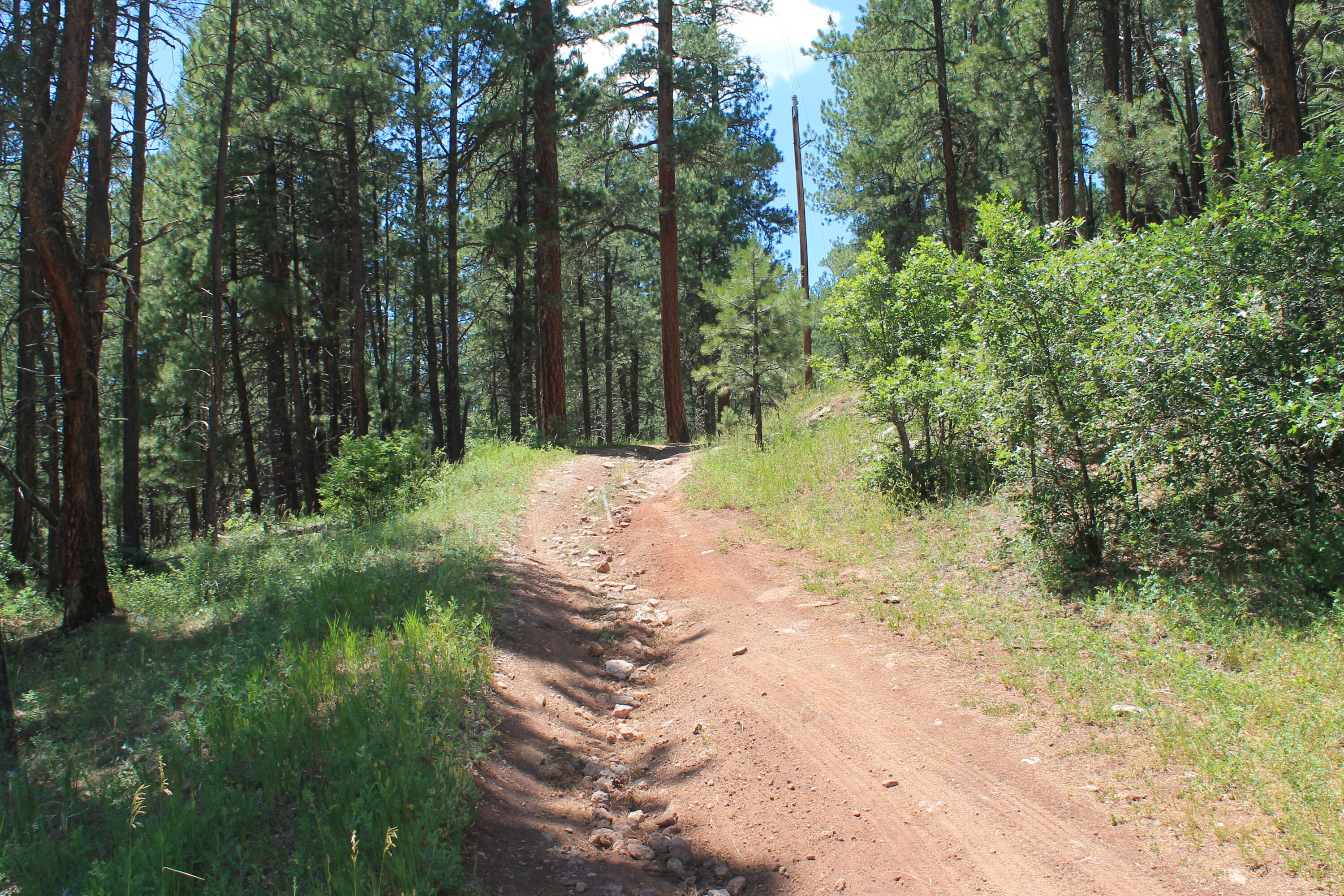 Las Palomas Road