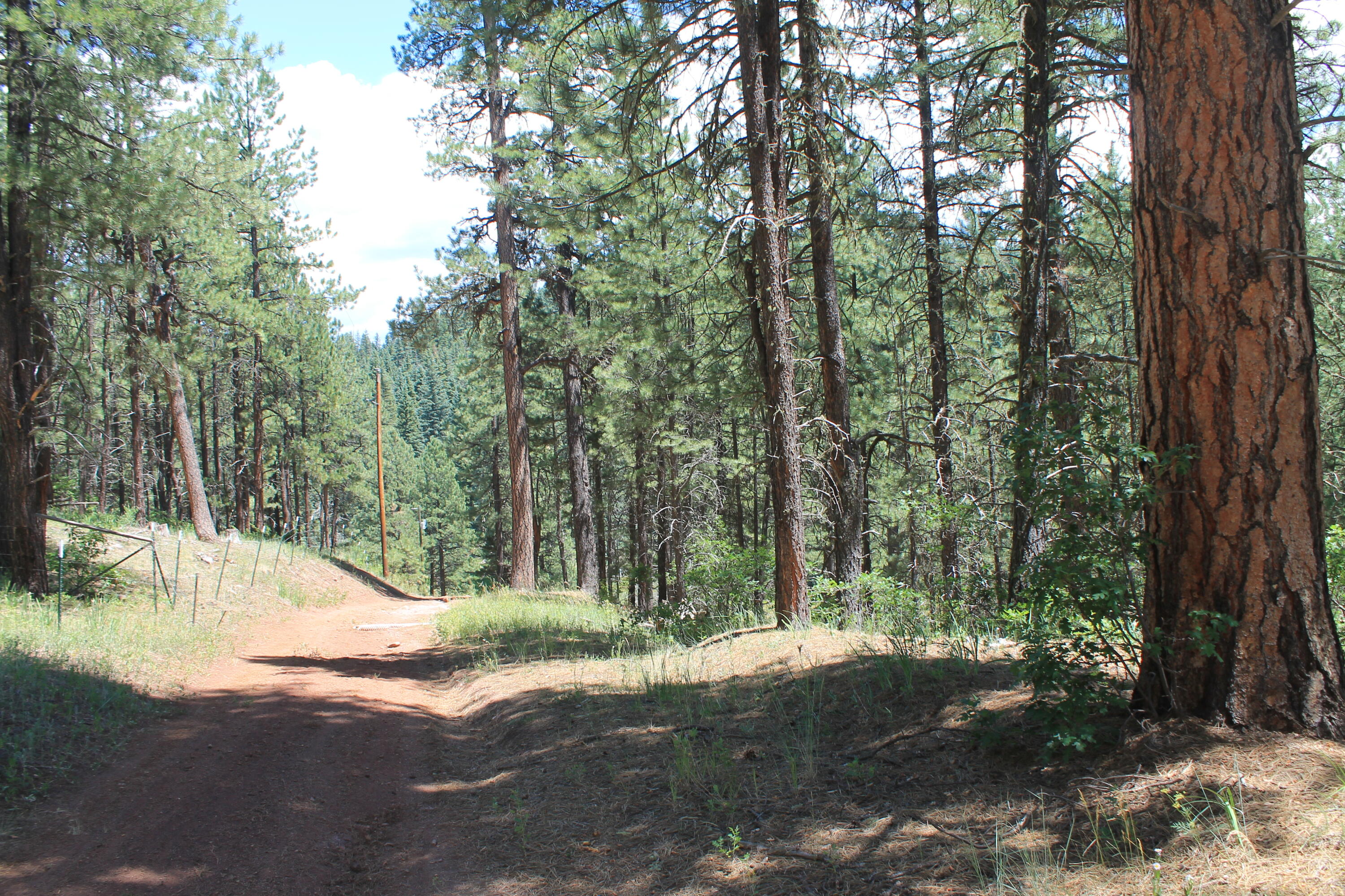 Las Palomas Road