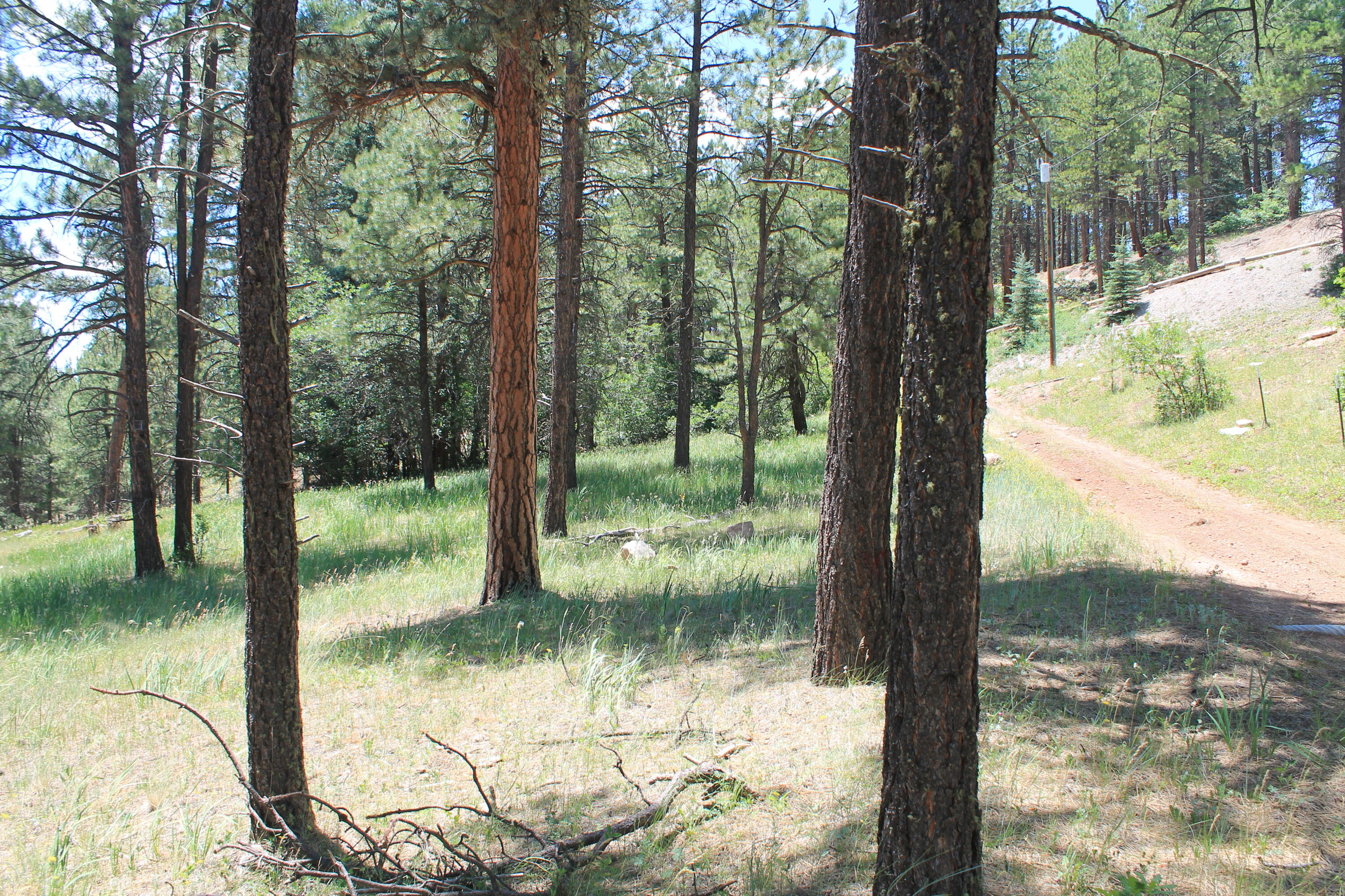 Las Palomas Road