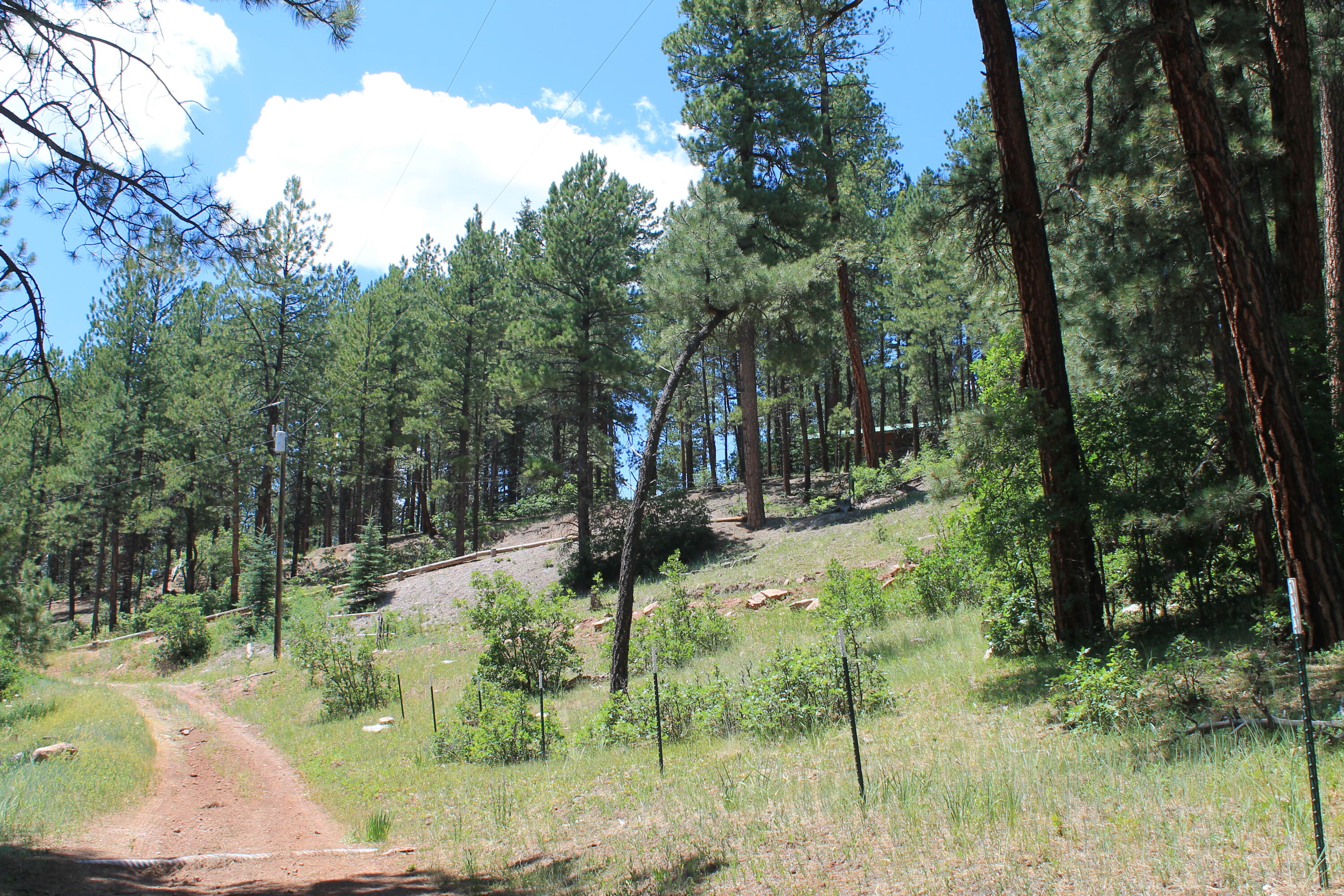 Las Palomas Road