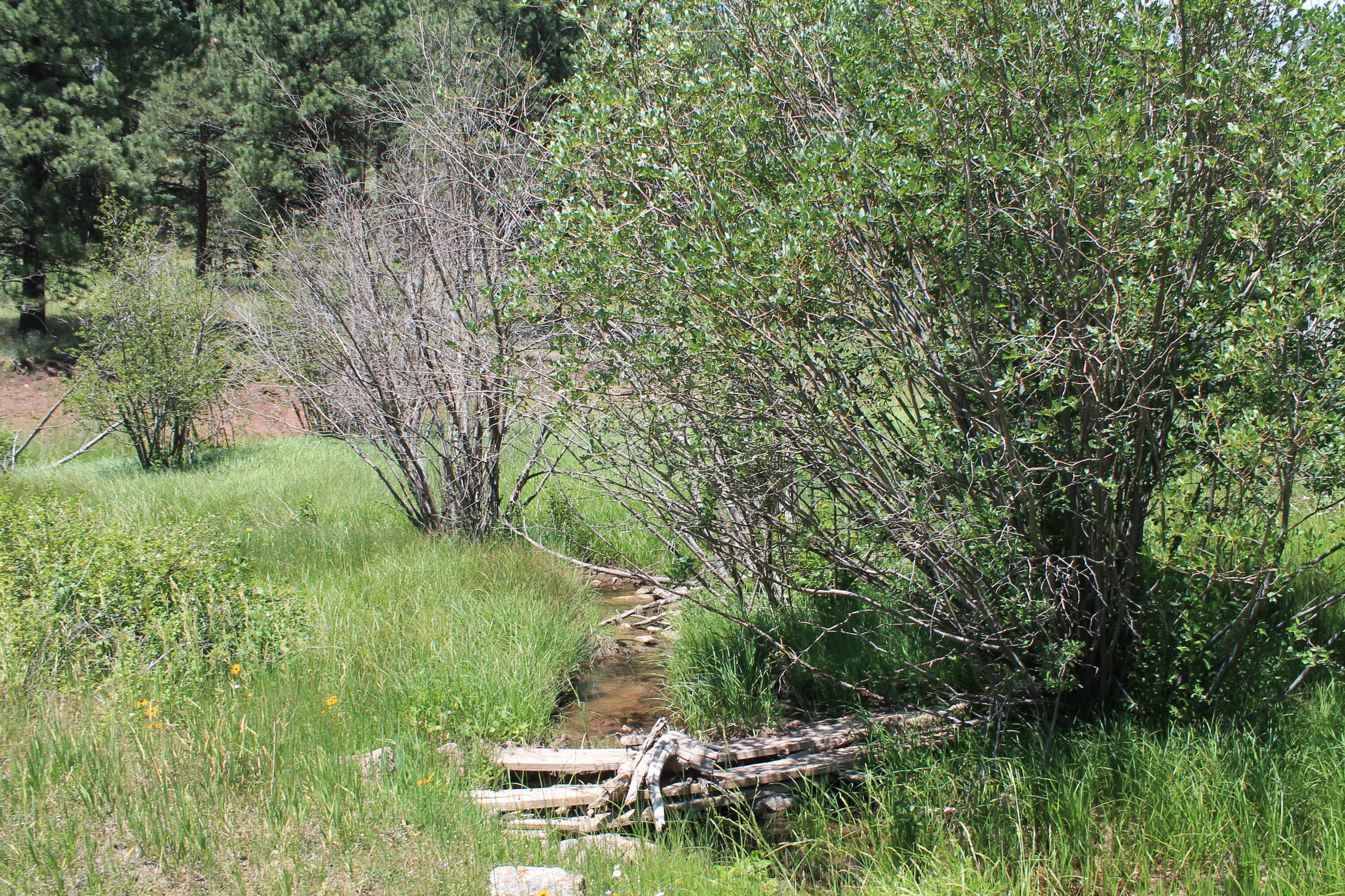 Las Palomas Road