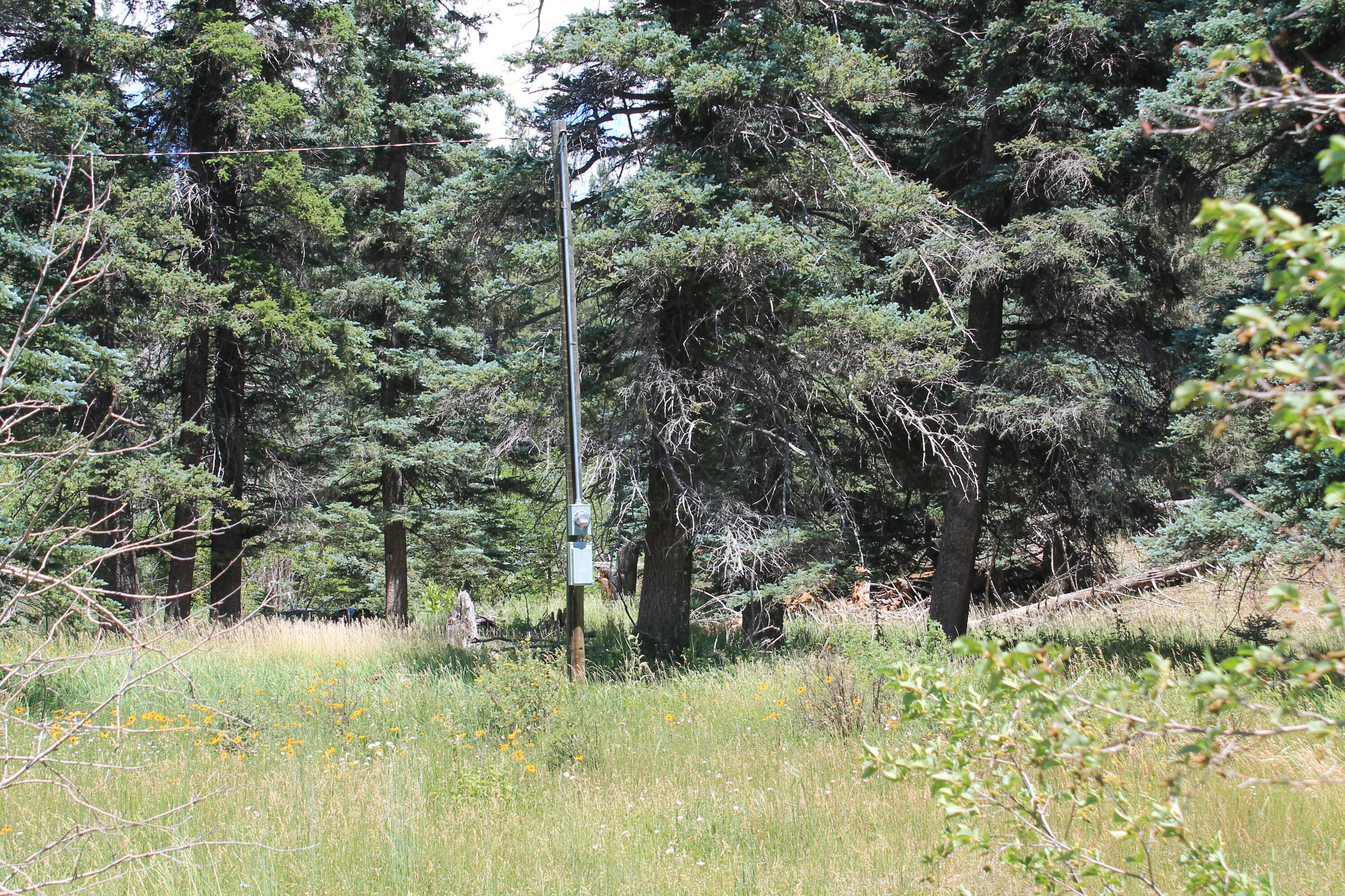 Las Palomas Road