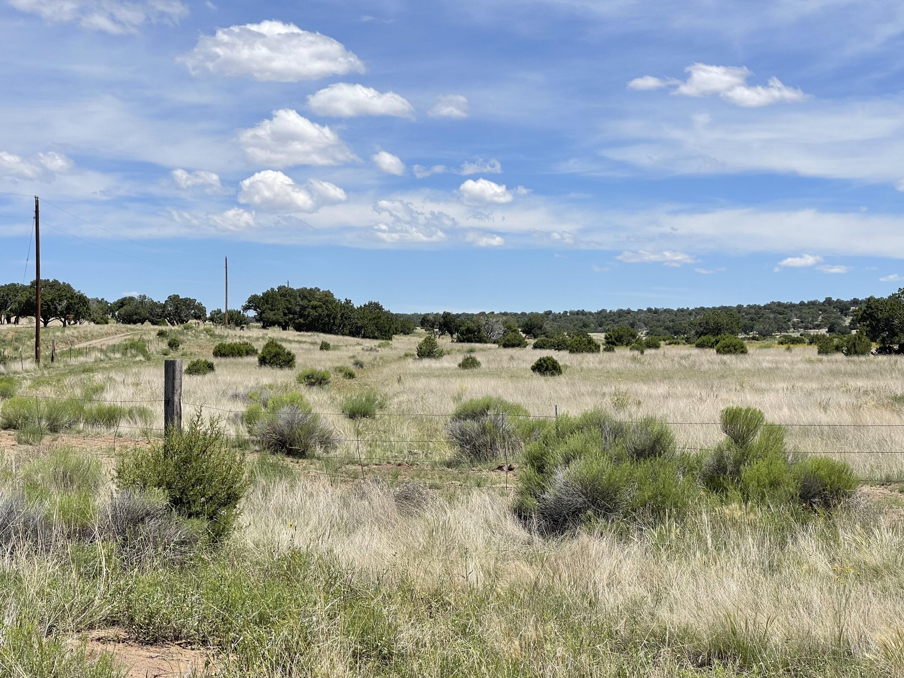 99 Tee Pee Trail