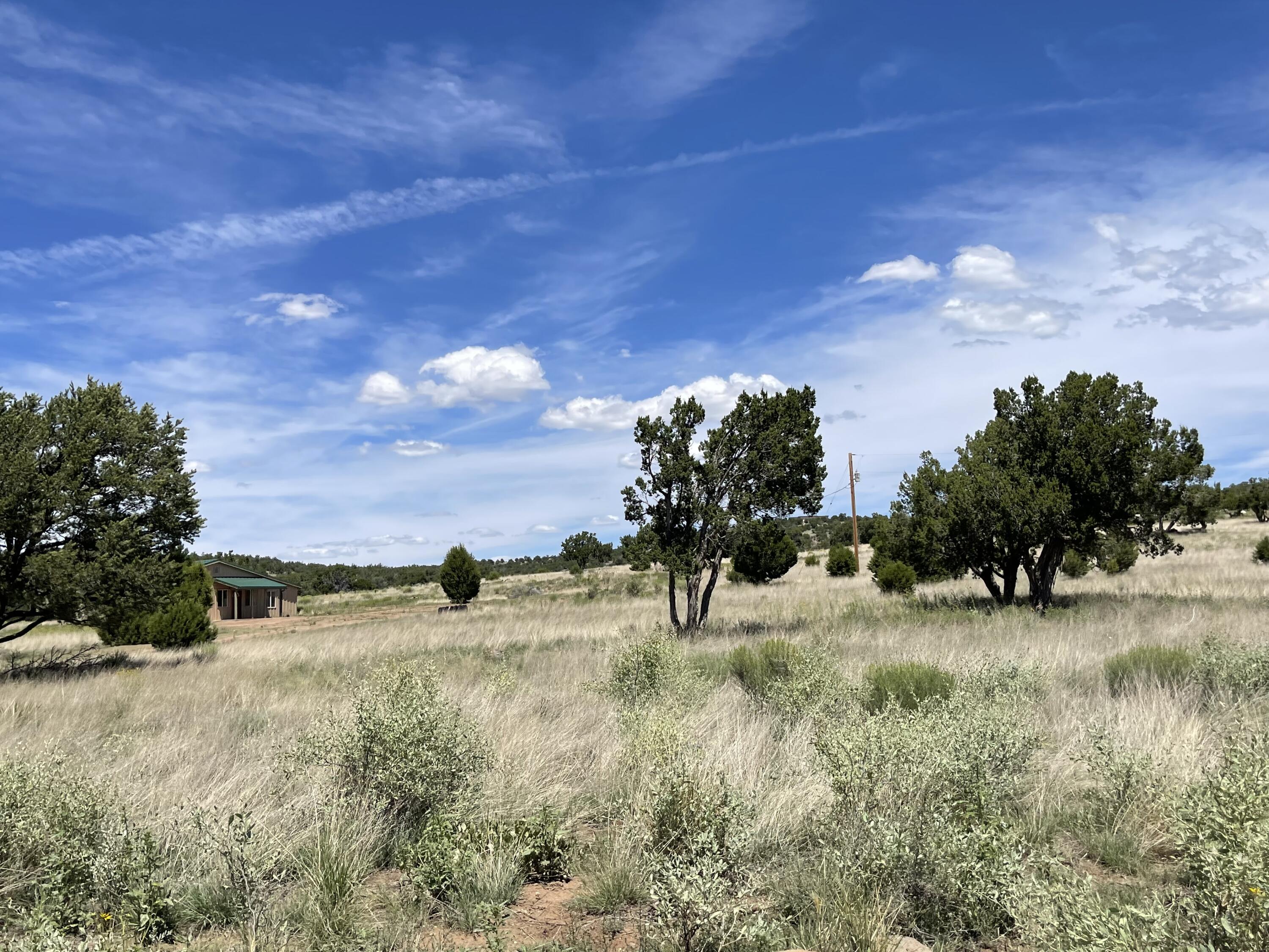 99 Tee Pee Trail