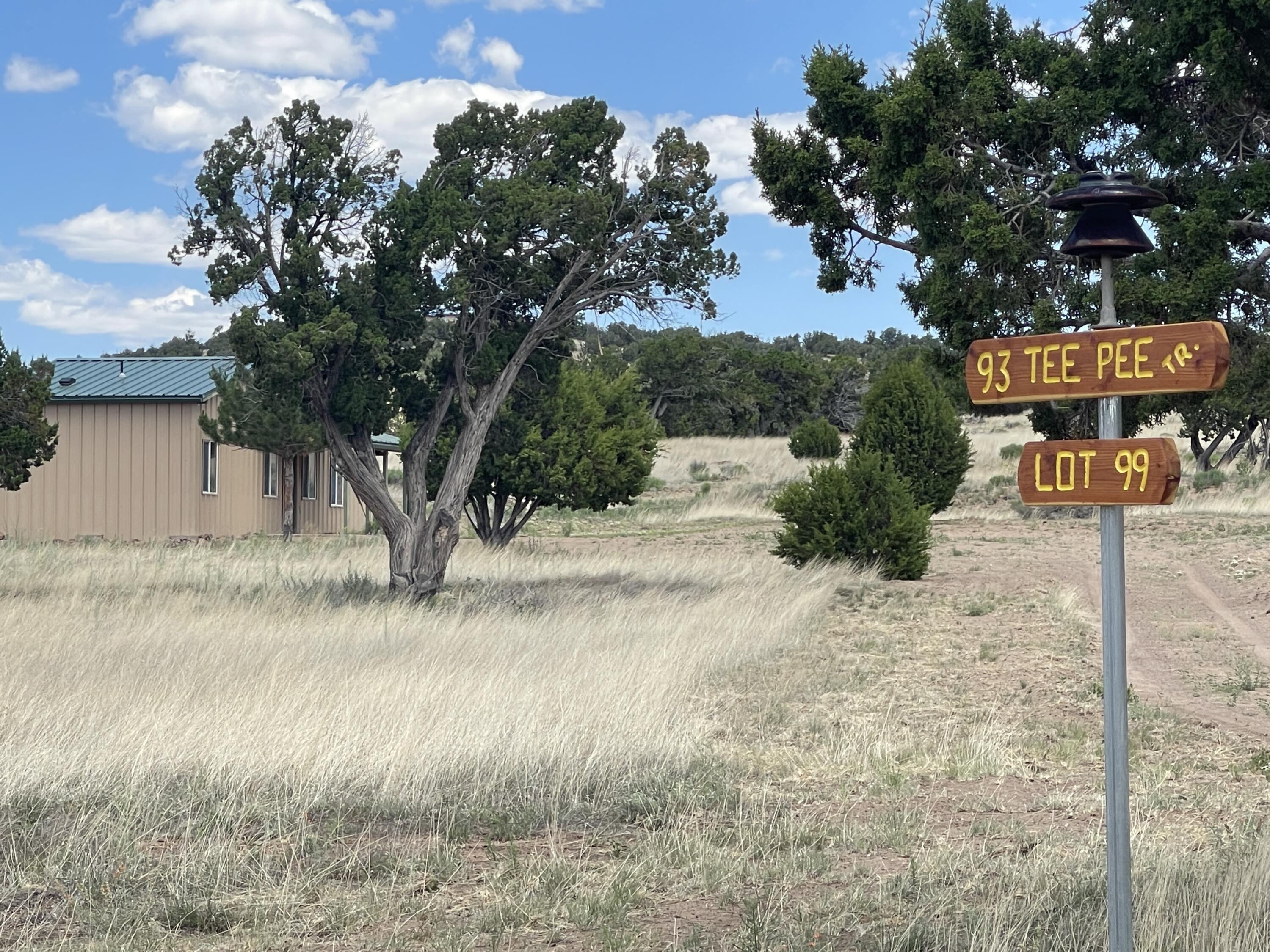 99 Tee Pee Trail