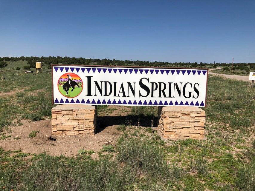 99 Tee Pee Trail