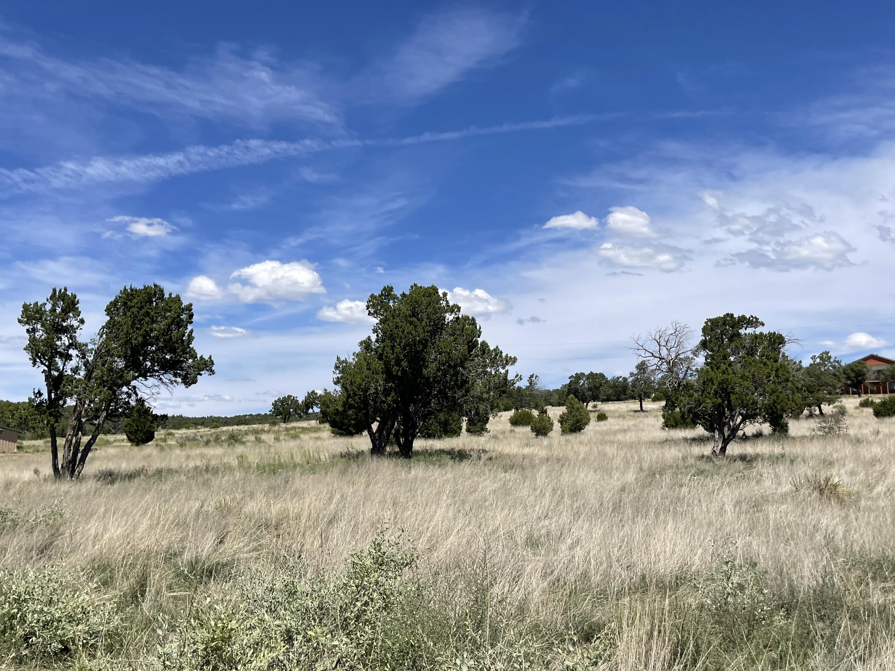 99 Tee Pee Trail