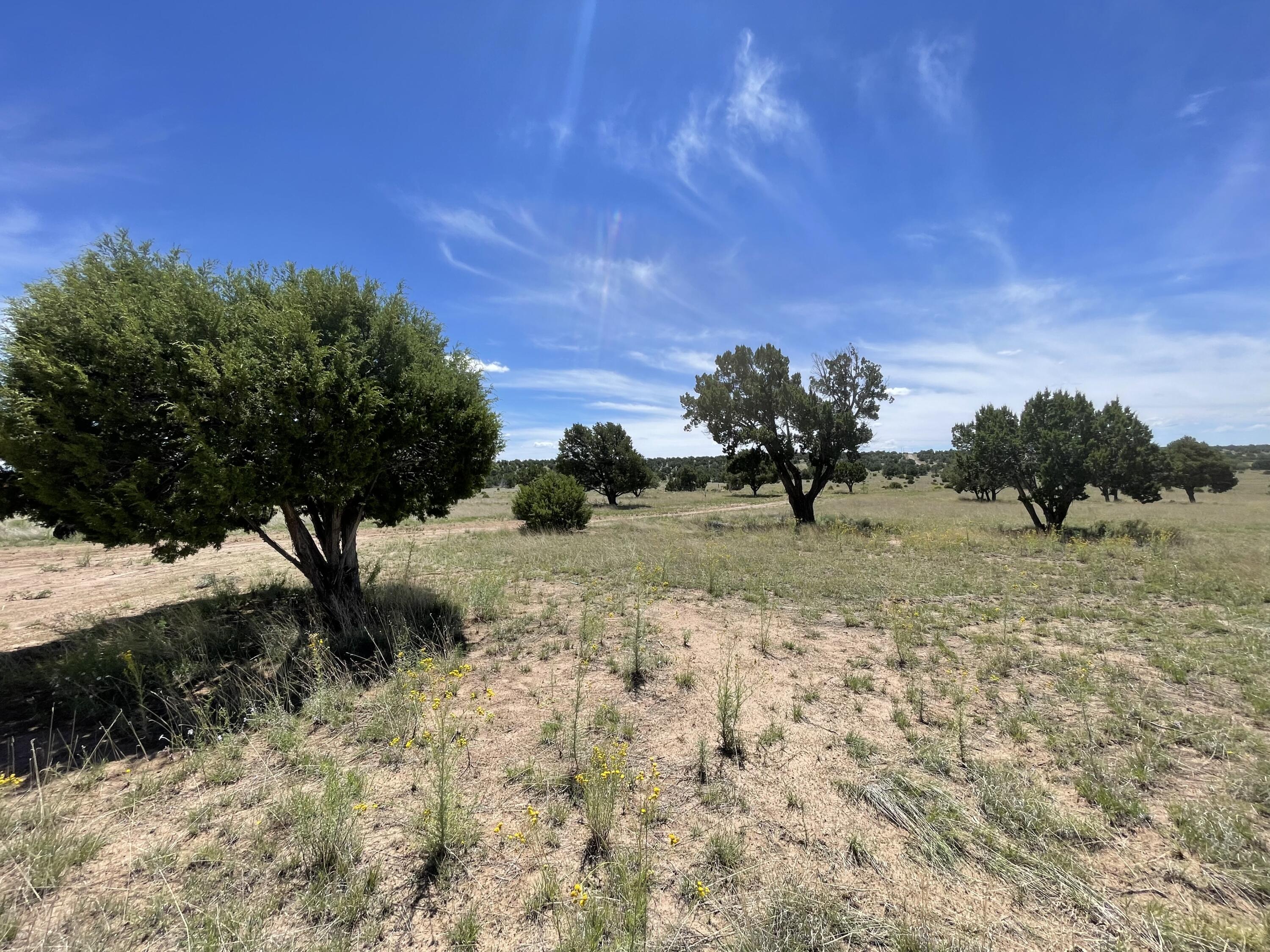 99 Tee Pee Trail
