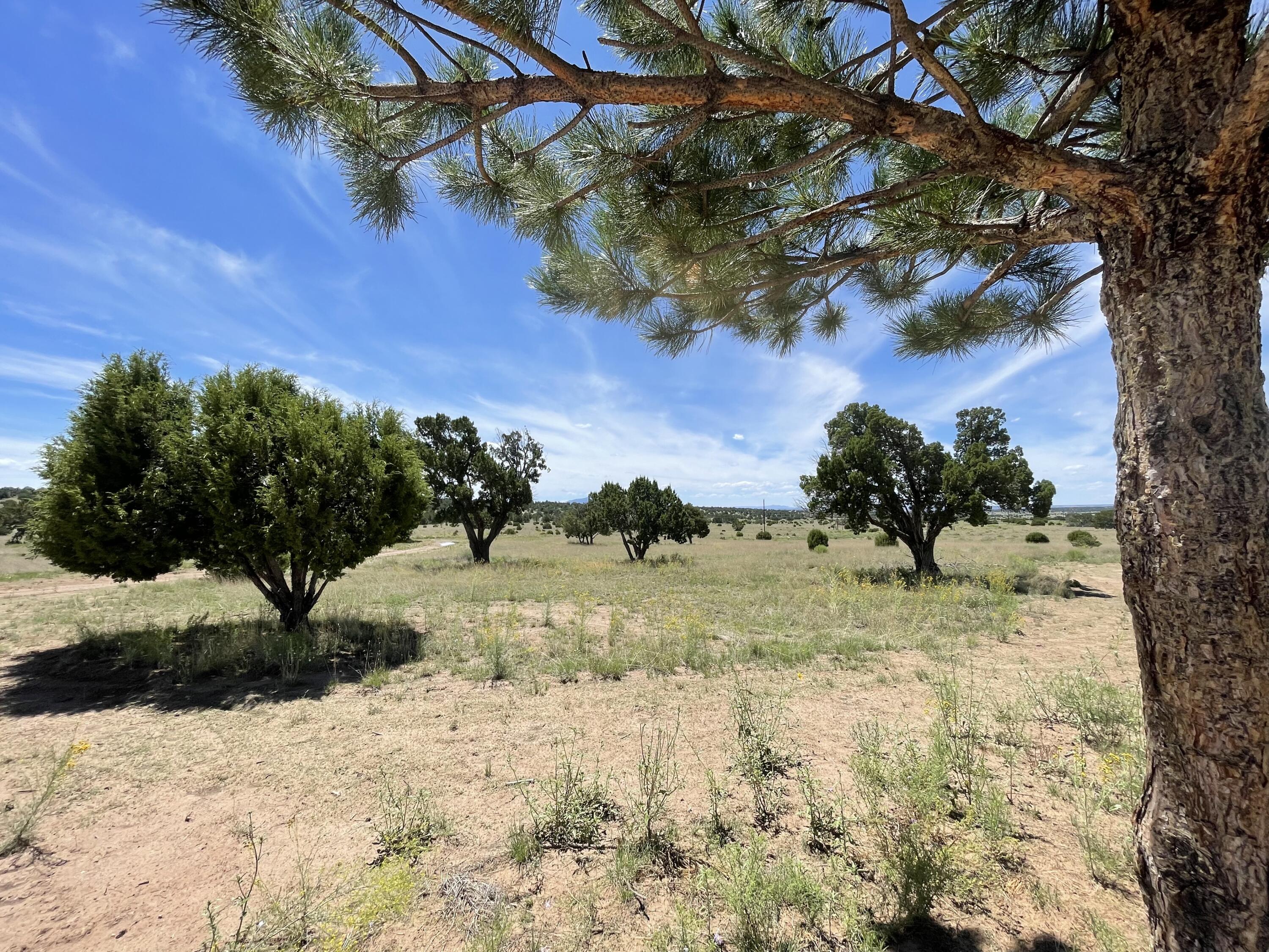 99 Tee Pee Trail