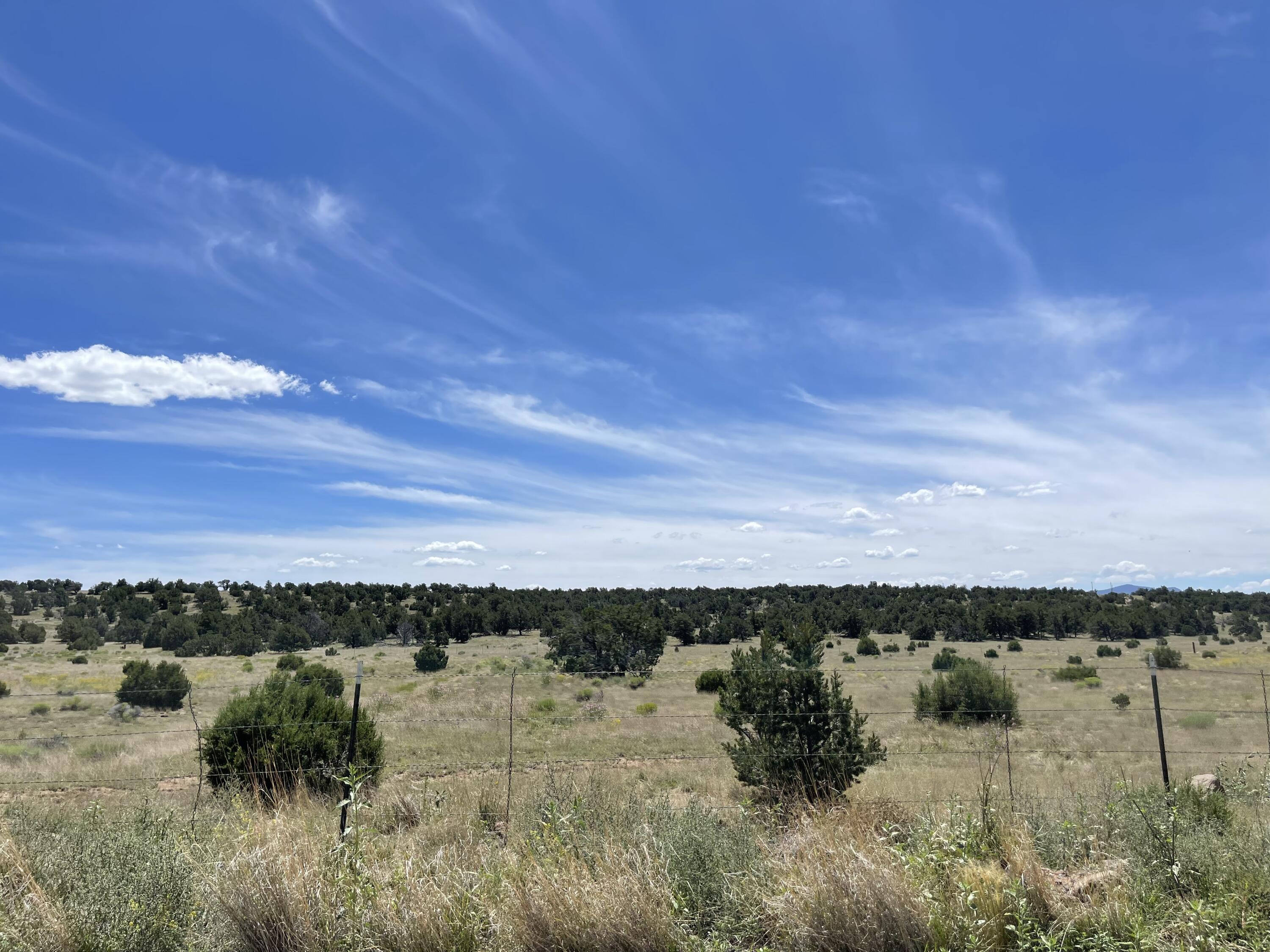 99 Tee Pee Trail