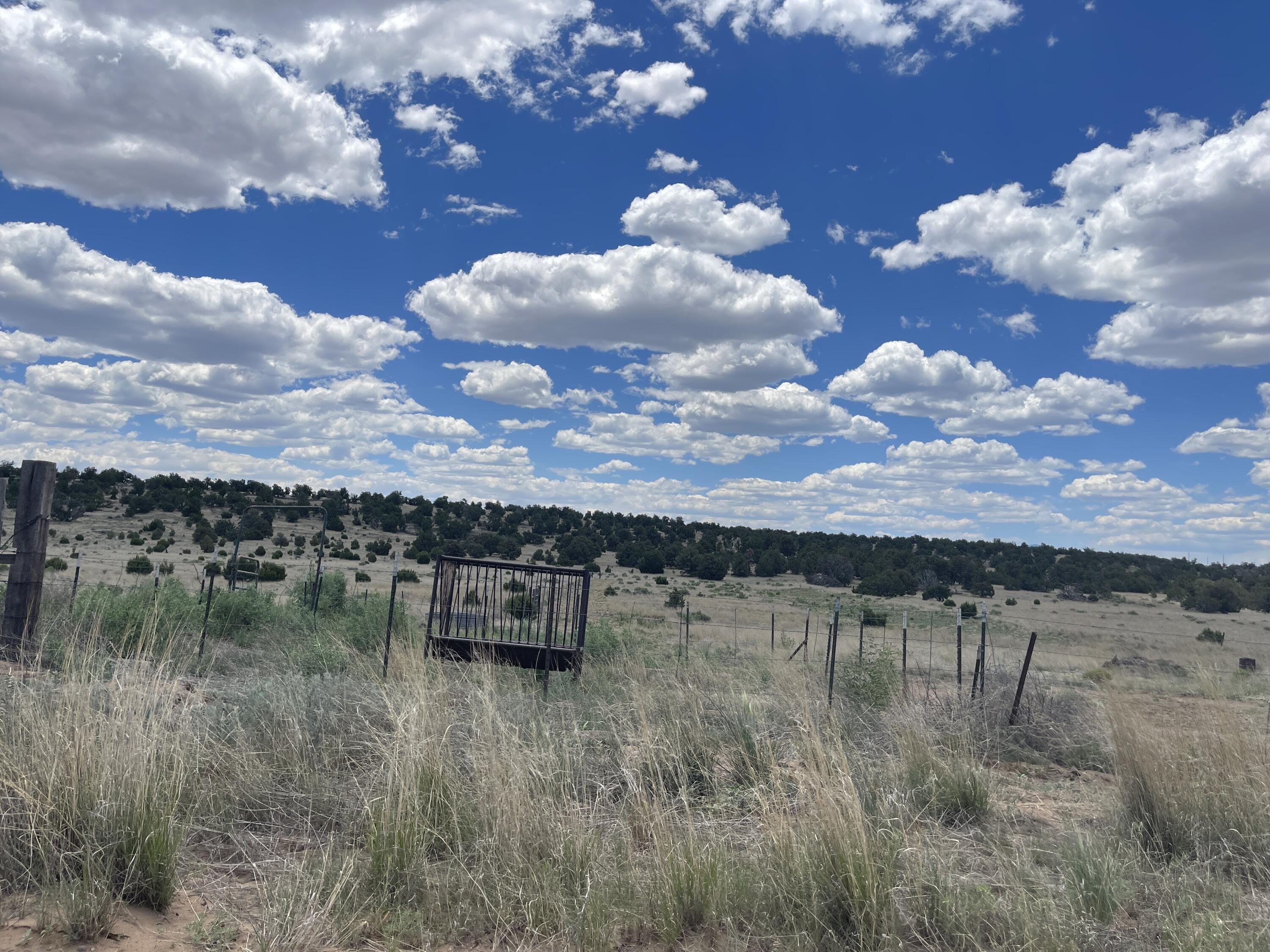 99 Tee Pee Trail