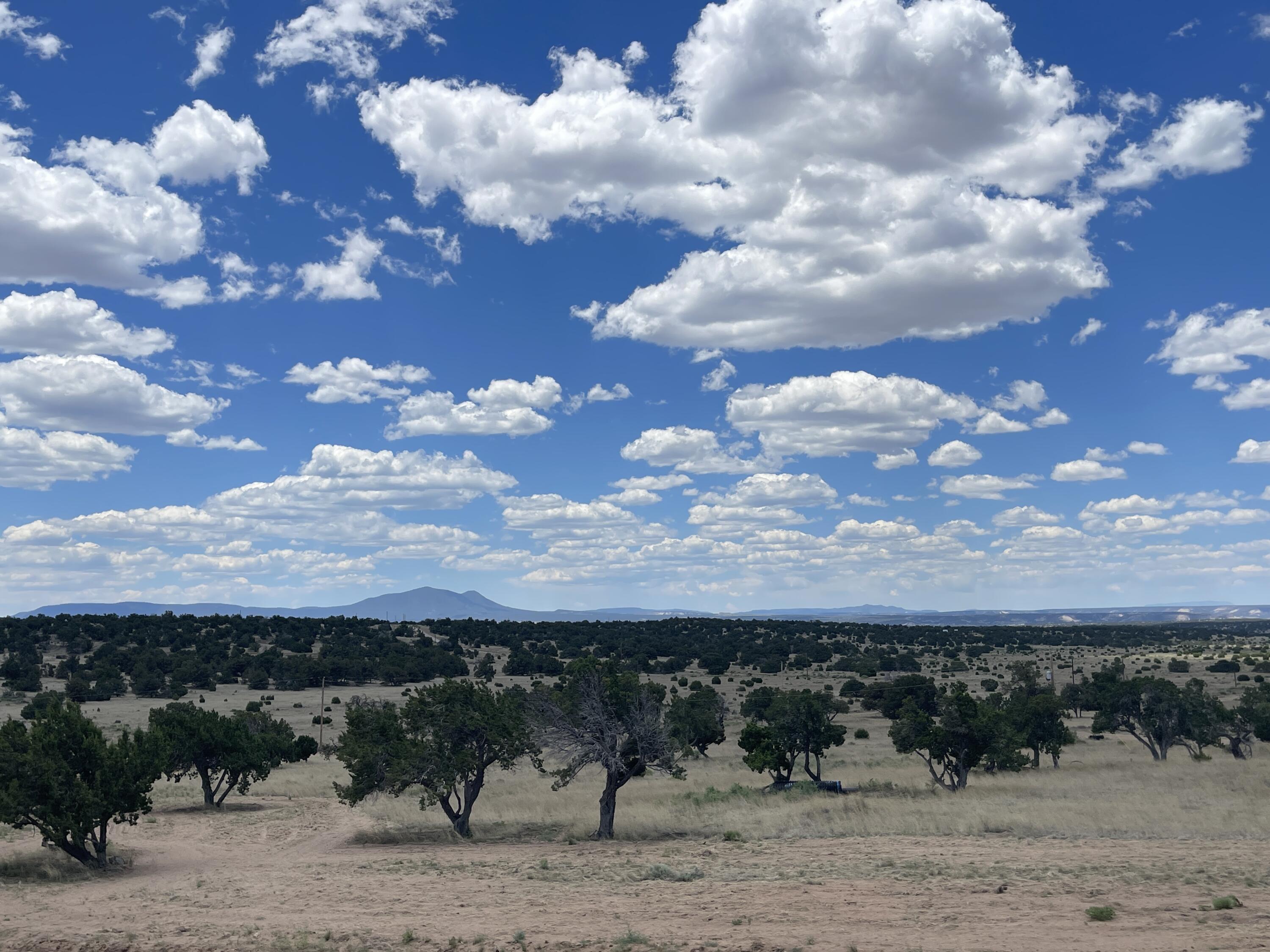 99 Tee Pee Trail