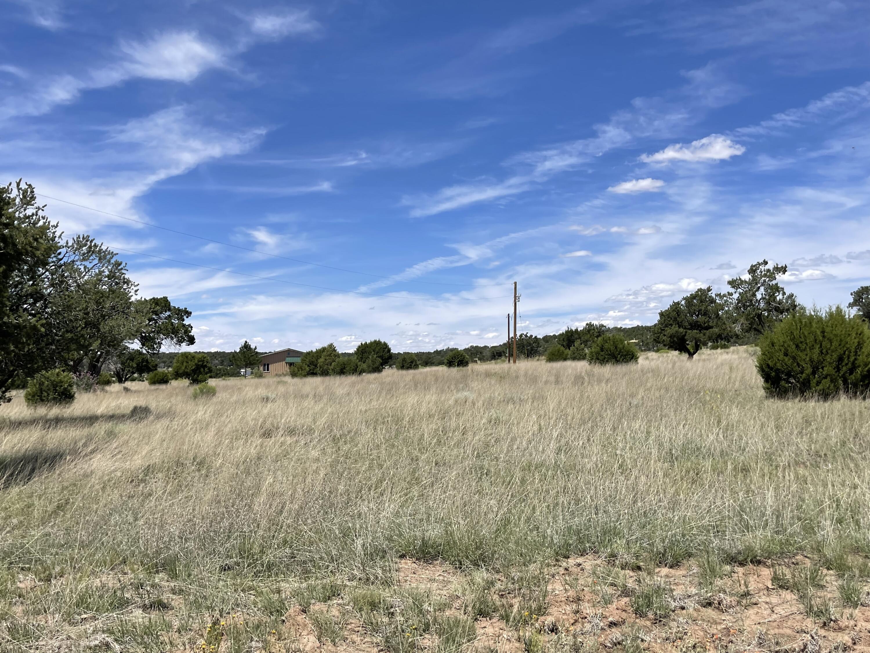 99 Tee Pee Trail