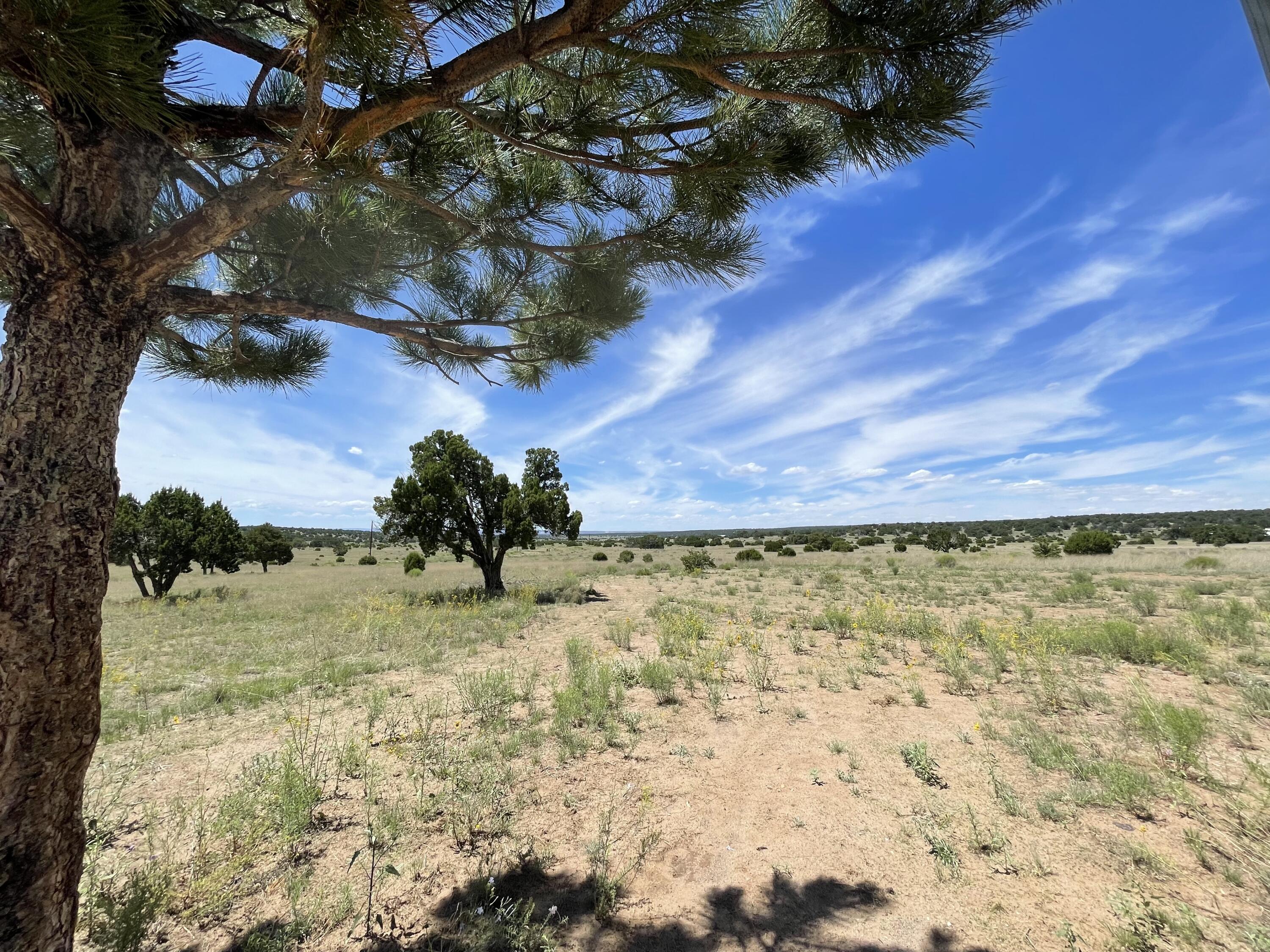 99 Tee Pee Trail