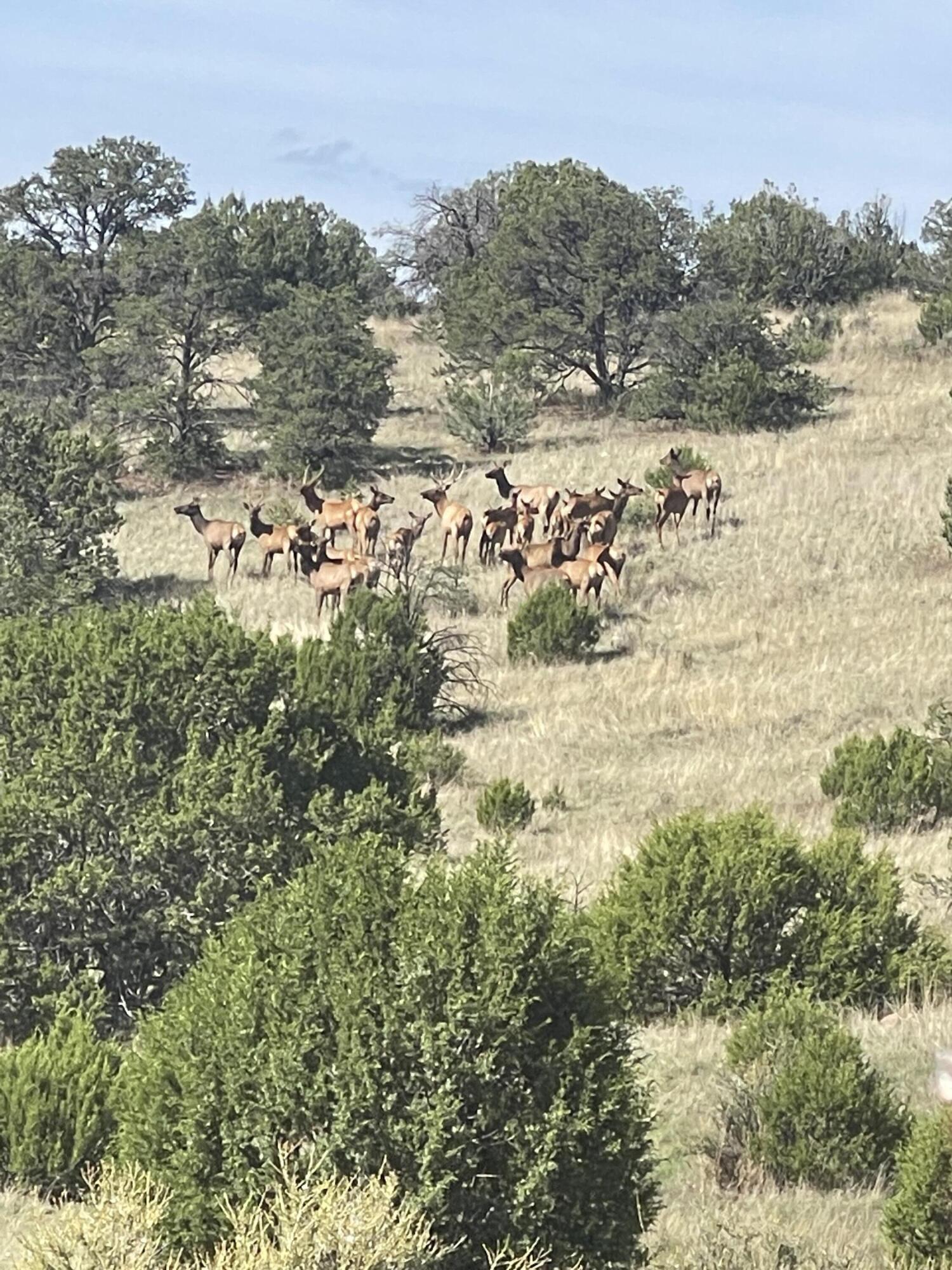 99 Tee Pee Trail
