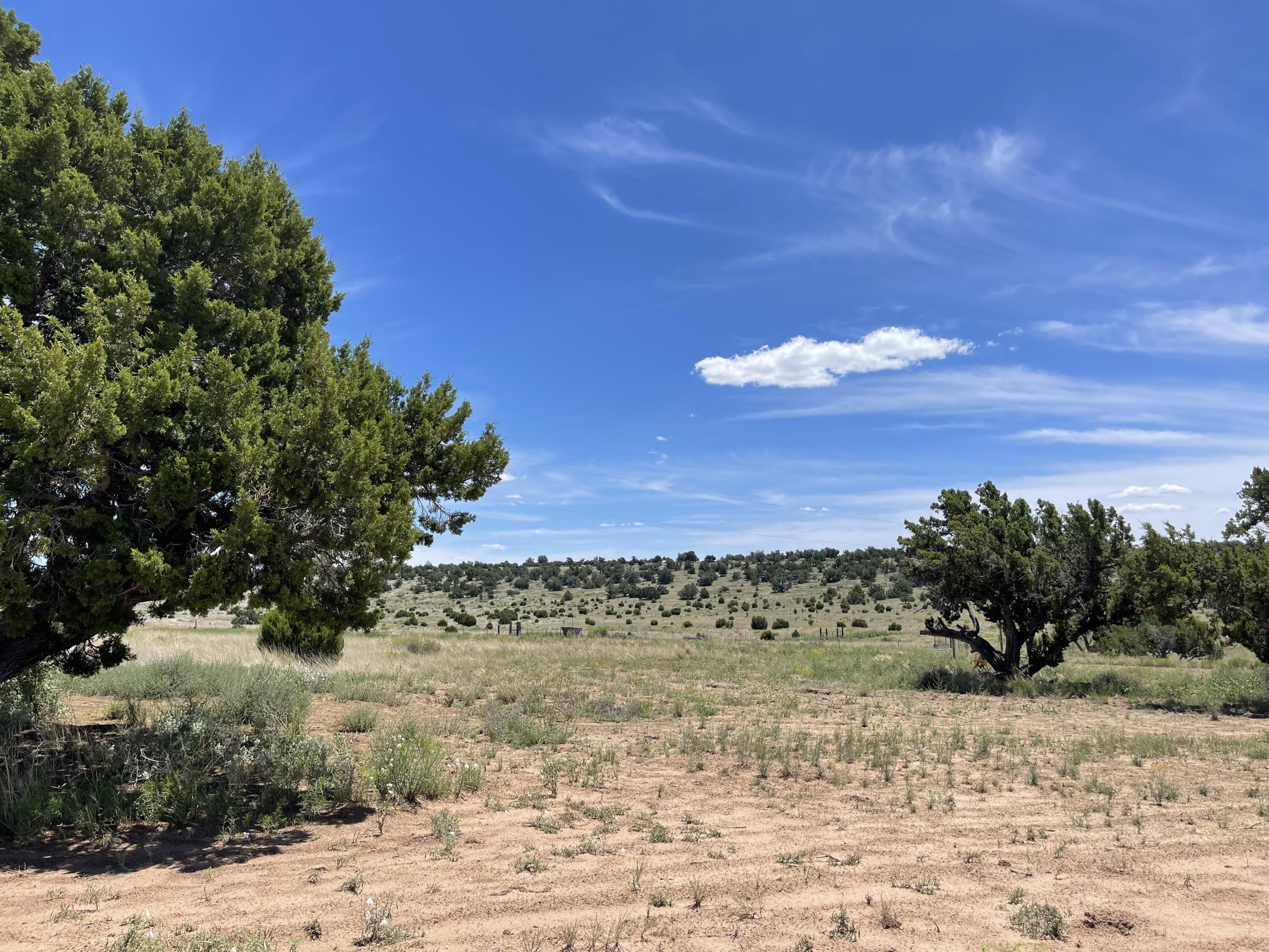 99 Tee Pee Trail