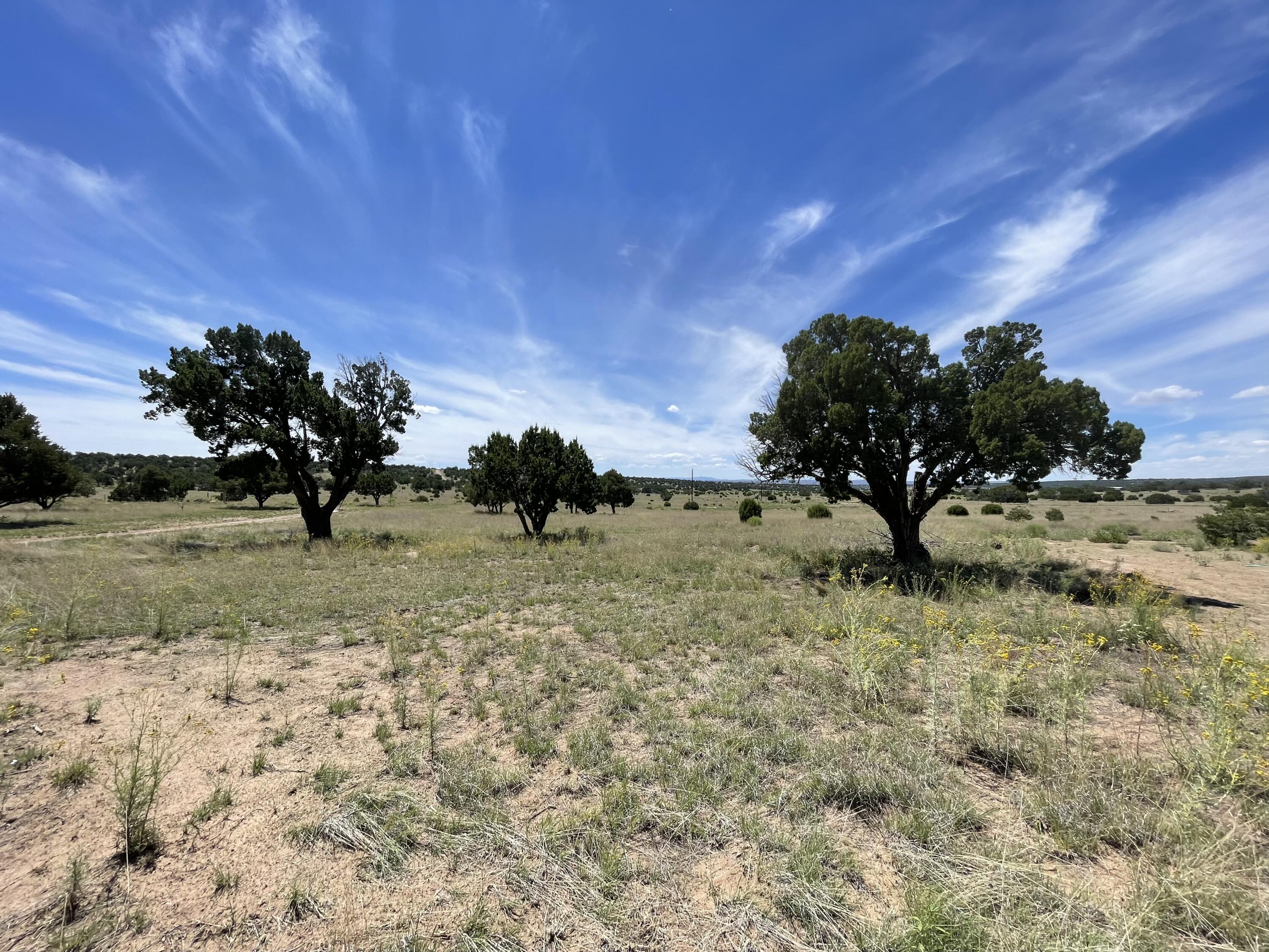 99 Tee Pee Trail