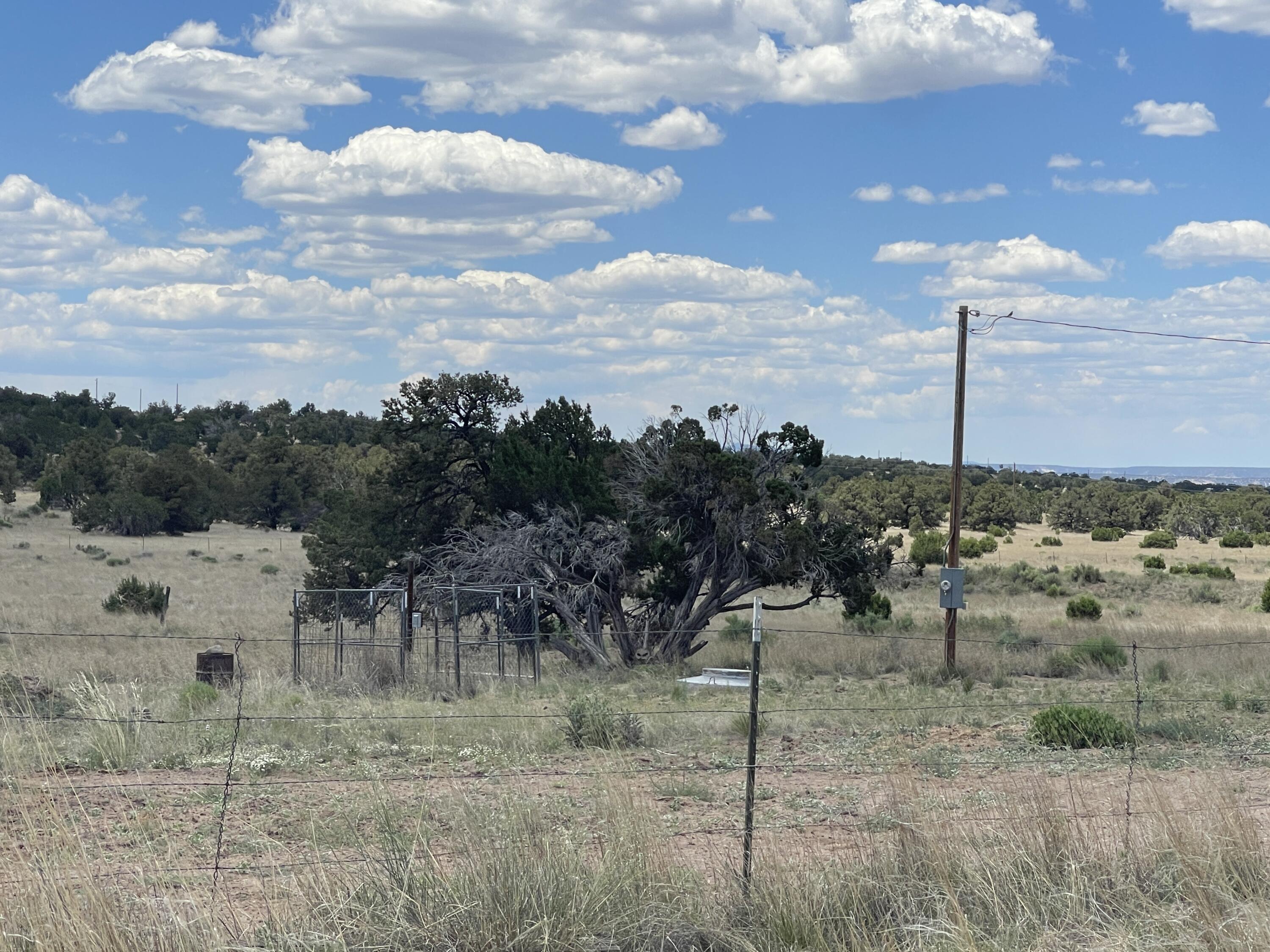 99 Tee Pee Trail