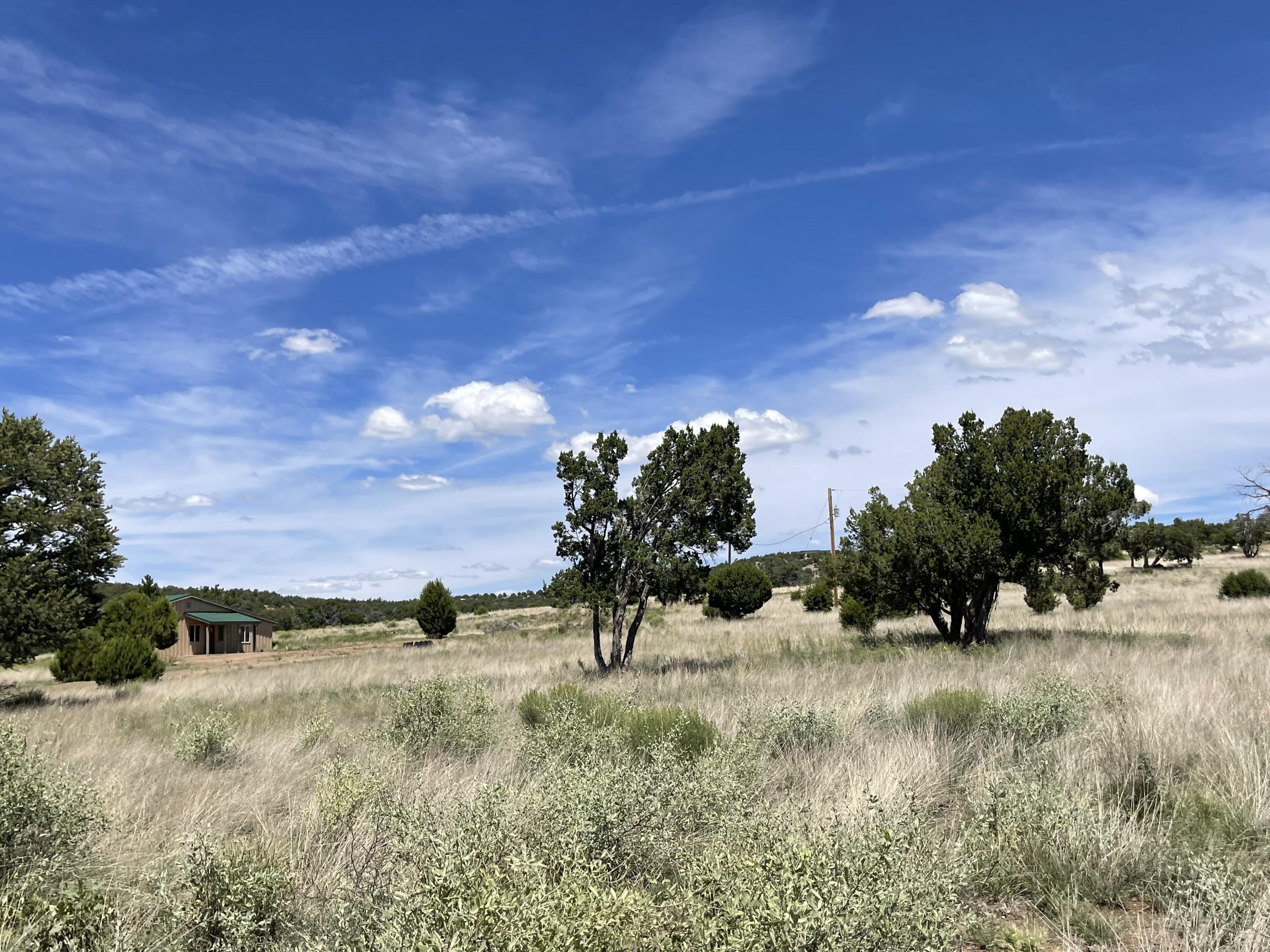 99 Tee Pee Trail