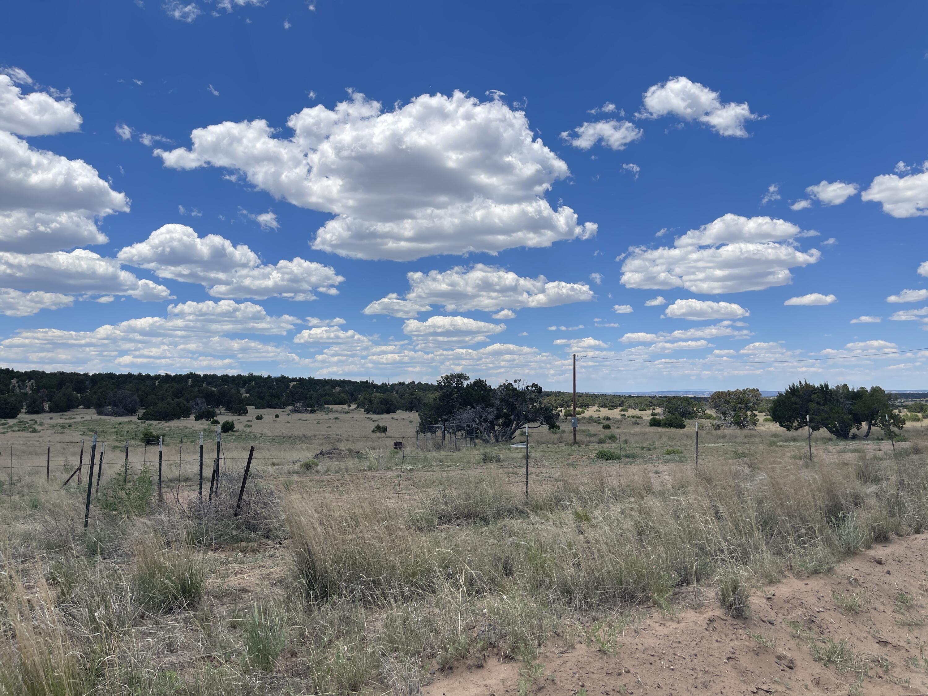 99 Tee Pee Trail