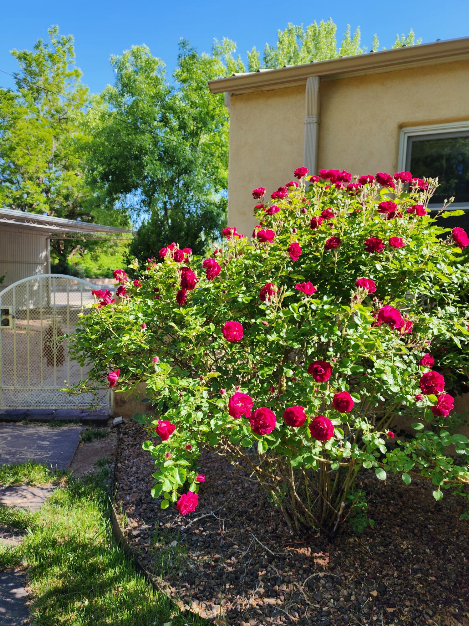 2548 Candelaria Road NW